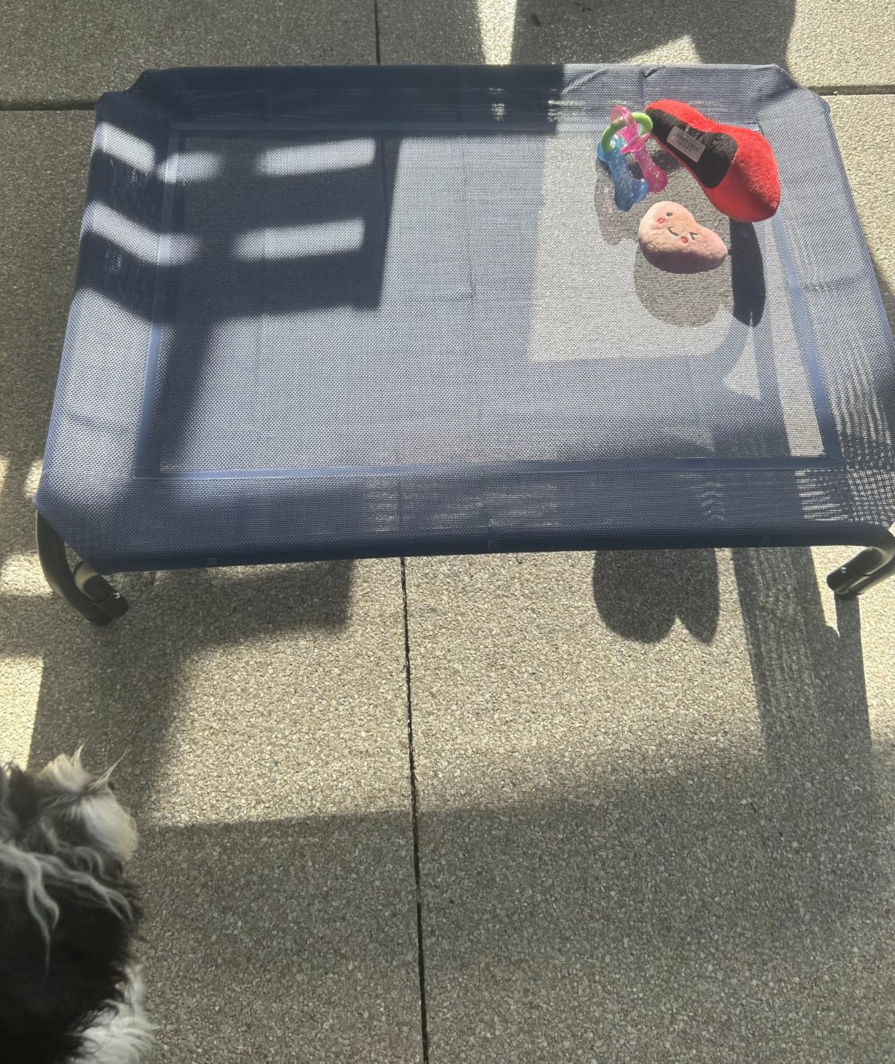 Elevated Dog Bed Raised Outdoor Dog Cot for Large Dogs, Installation Requires No Tools, Frame with Washable Cooling Breathable Mesh Anti-Slip Feet, Indoor Pet Bed, Black, 43.3 Inches customer photo 2