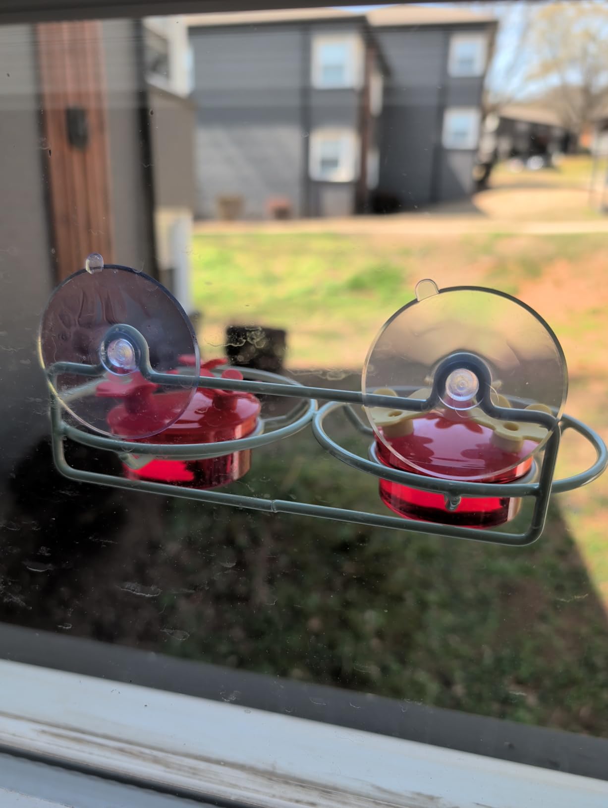 Window Hummingbird Feeder, Small Hummingbird Feeder for Outdoors with Strong Suction Cup - Metal Base & 6 Feeding Ports customer photo 1