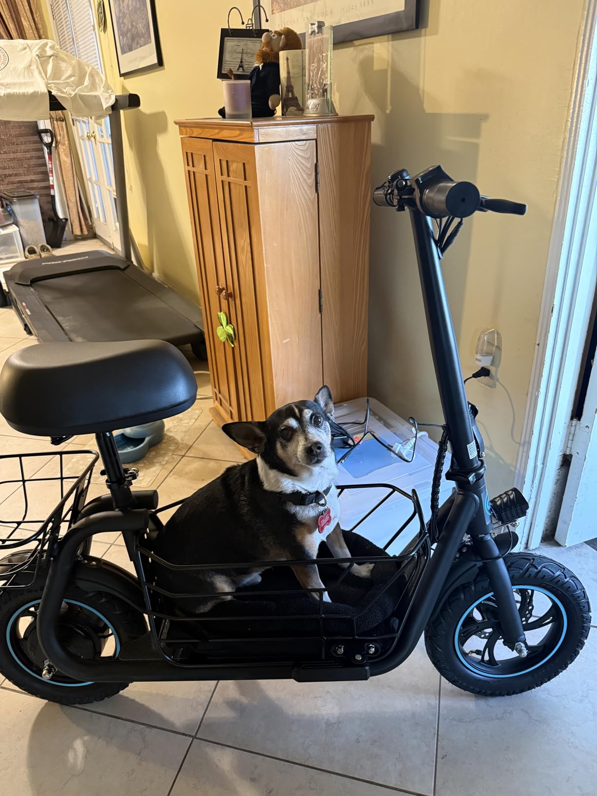 Gyroor C1S Electric Scooter with Seat for Adults - 550W Motor, Pet Basket, 19 MPH Top Speed, 20 Miles Range, 12