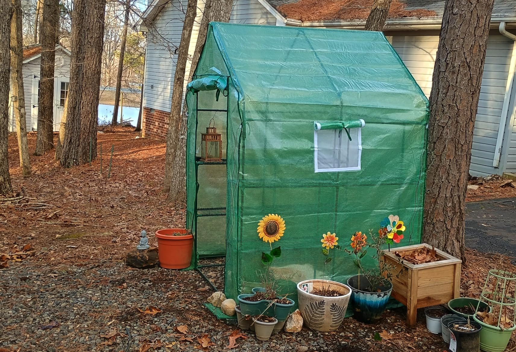 SPECILITE 56x56x78Inch Walk-in Greenhouse, Heavy Duty Small Plant House with Thicken PE Cover and Steel Frame, for Garden, Outdoors, Indoors, Green customer photo 1