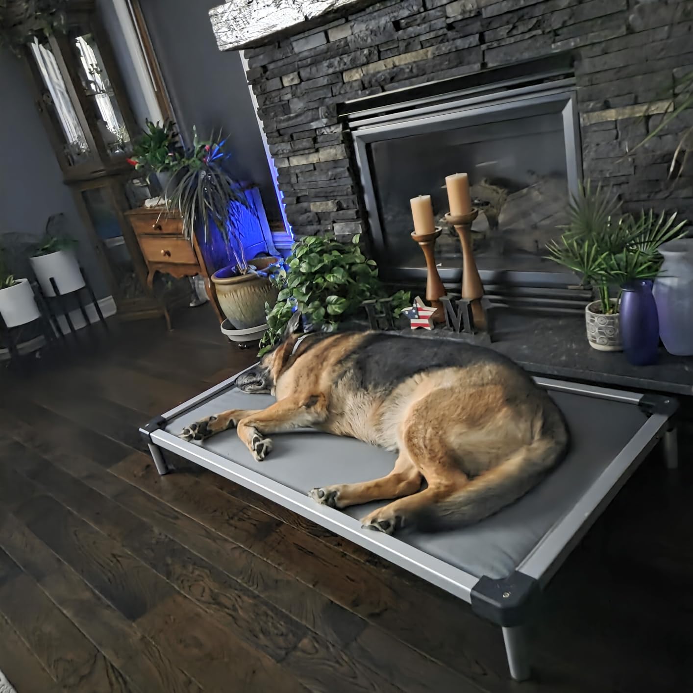 FXW TitanNest Chew-Proof Elevated Dog Bed, Raised Cot for Indoor/Outdoor/Camping Use, Durable & Washable Padded Pet Bed for Extra-Large Dogs, 56.0