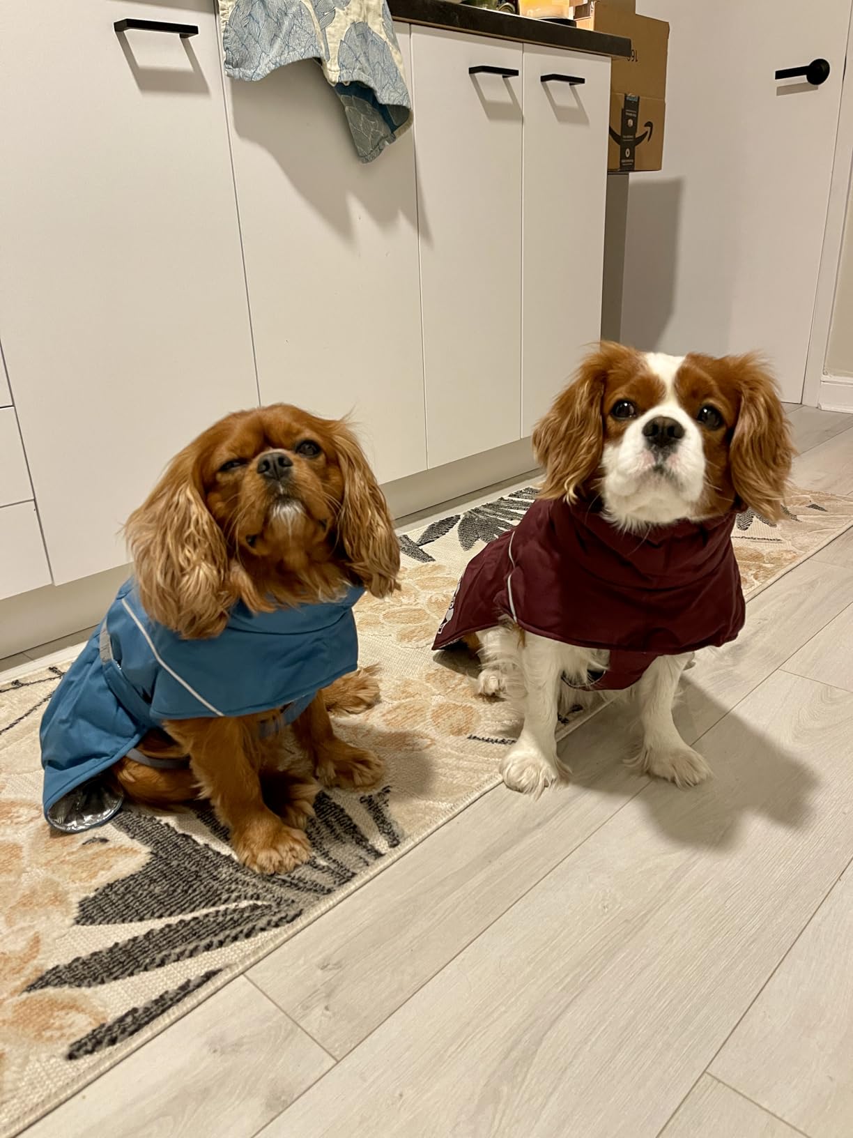 Extreme Warmer III ECO, Cold Weather Winter Dog Coat, Cinnamon, 12 in customer photo 1