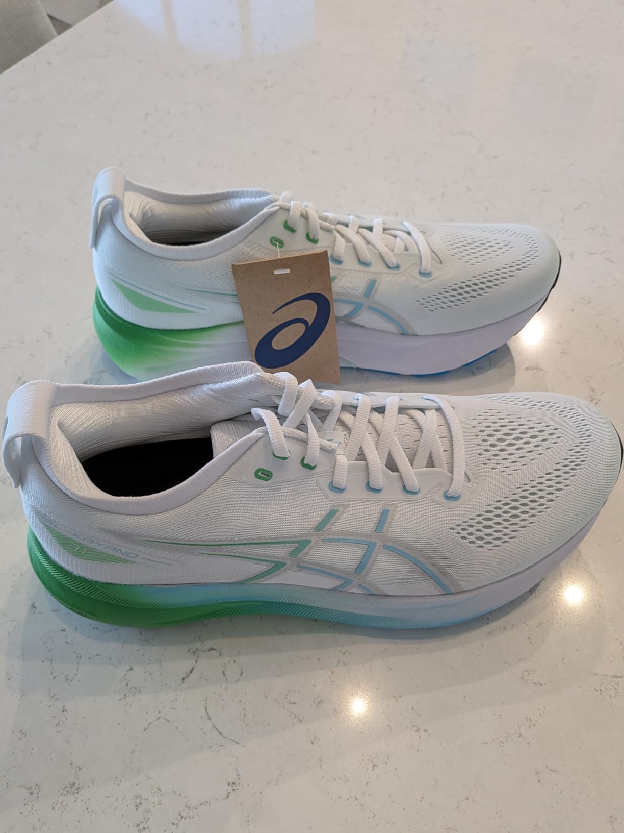 ASICS Mens Gel-Kayano 31 customer photo 1