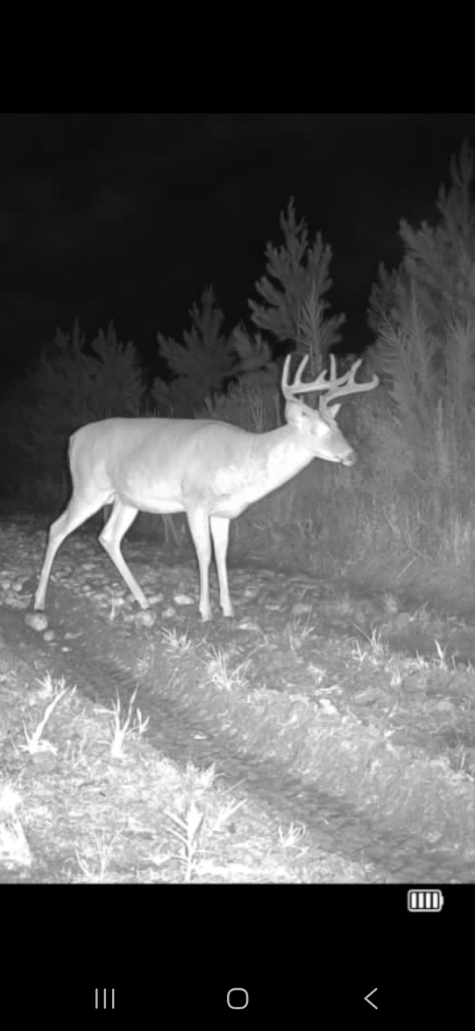 TACTACAM Reveal X Gen 3.0 Cellular Trail Camera - Multi Carrier, HD Photos & Videos, Pre-Installed Antenna, Built-in GPS, Best Battery Life, Low-Glow IR Flash, Fast Trigger Speed + Tree Mount customer photo 2