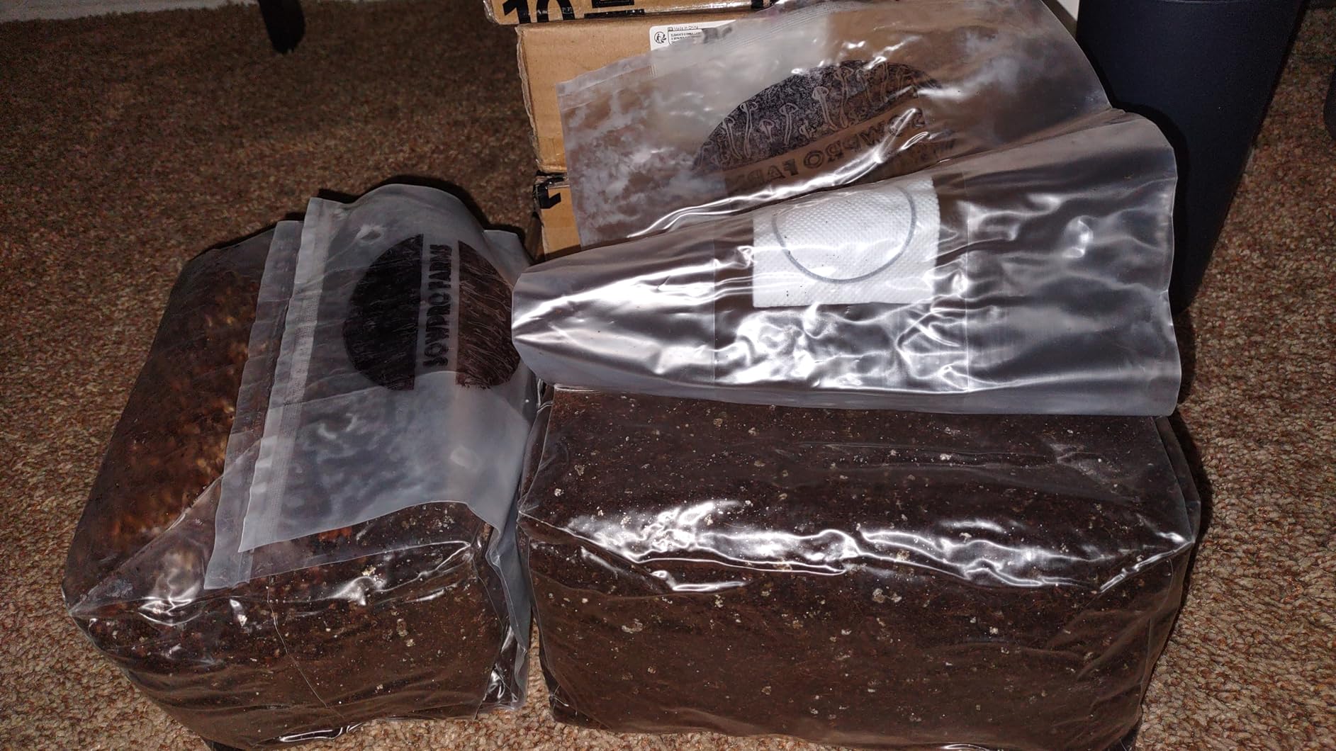 6 LB All-in-One Mushroom Grow Kit, Up to 64oz of Fresh Mushrooms Over 3 Flushes, Sterilized Grain Bag + Dung-Loving Substrate, Injection Port, OMRI-Listed, Made in USA, Just Add Spores customer photo 2