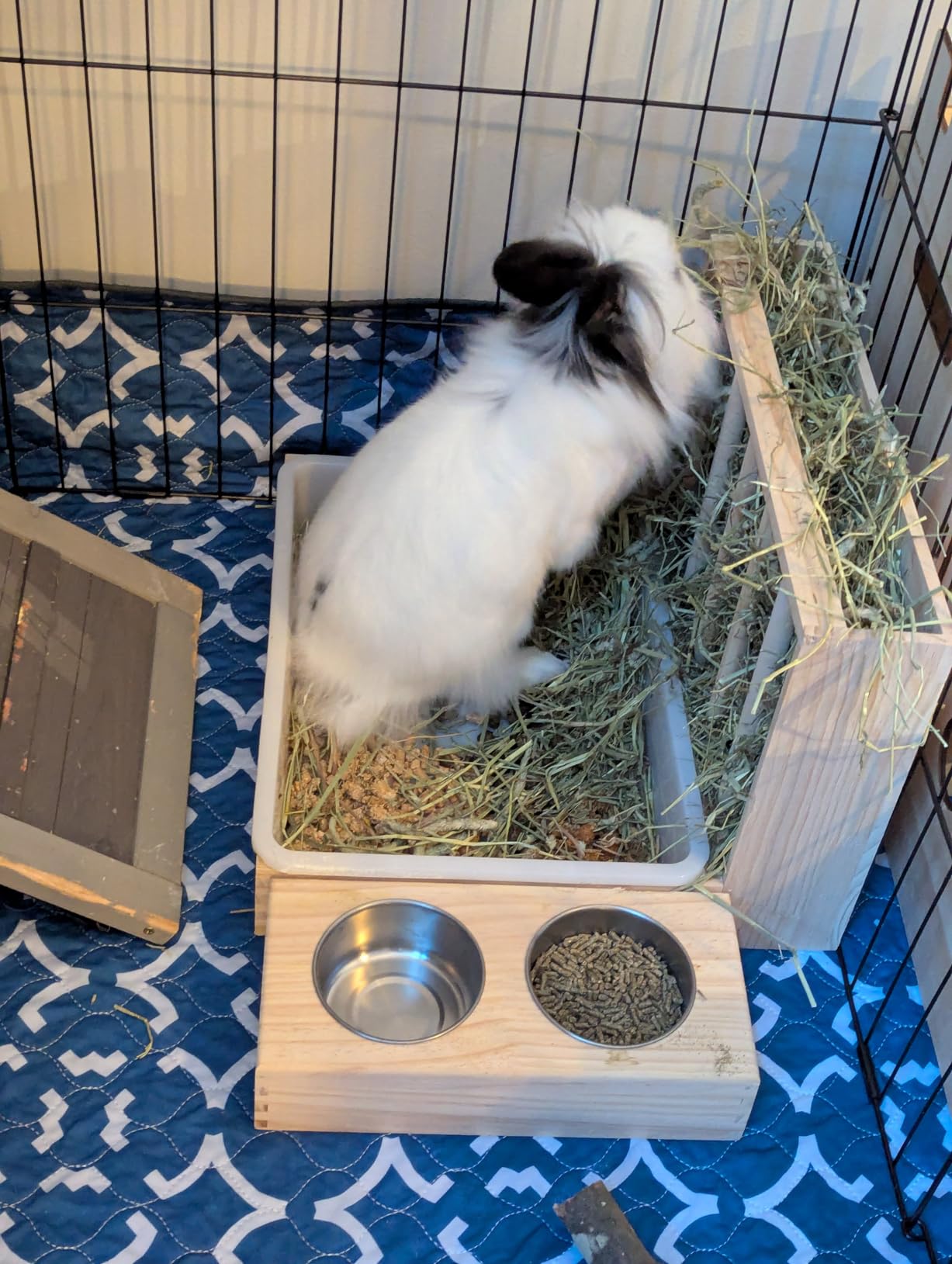 BESNEW 3 in 1 Rabbit Hay Feeder with Litter Box,Wooden Hay Feeder with 2 Bowls & Litter Box for Guinea Pig Chinchilla Bunny Other Small Animals,Large Capacity & Preventing Waste customer photo 1