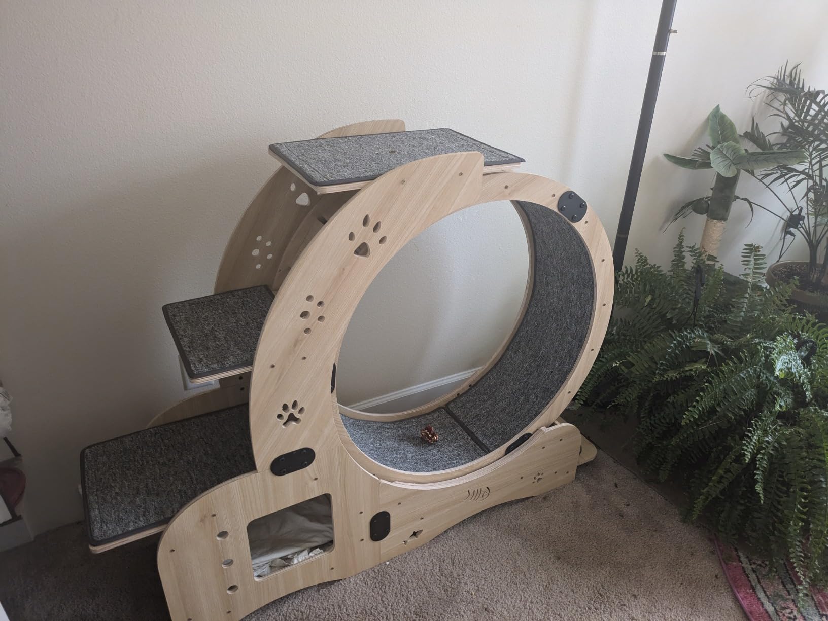 Cat Wheel 7-in-1 Upgraded Exercise Treadmill for Indoor Cats with Silent Running Wheel customer photo 1