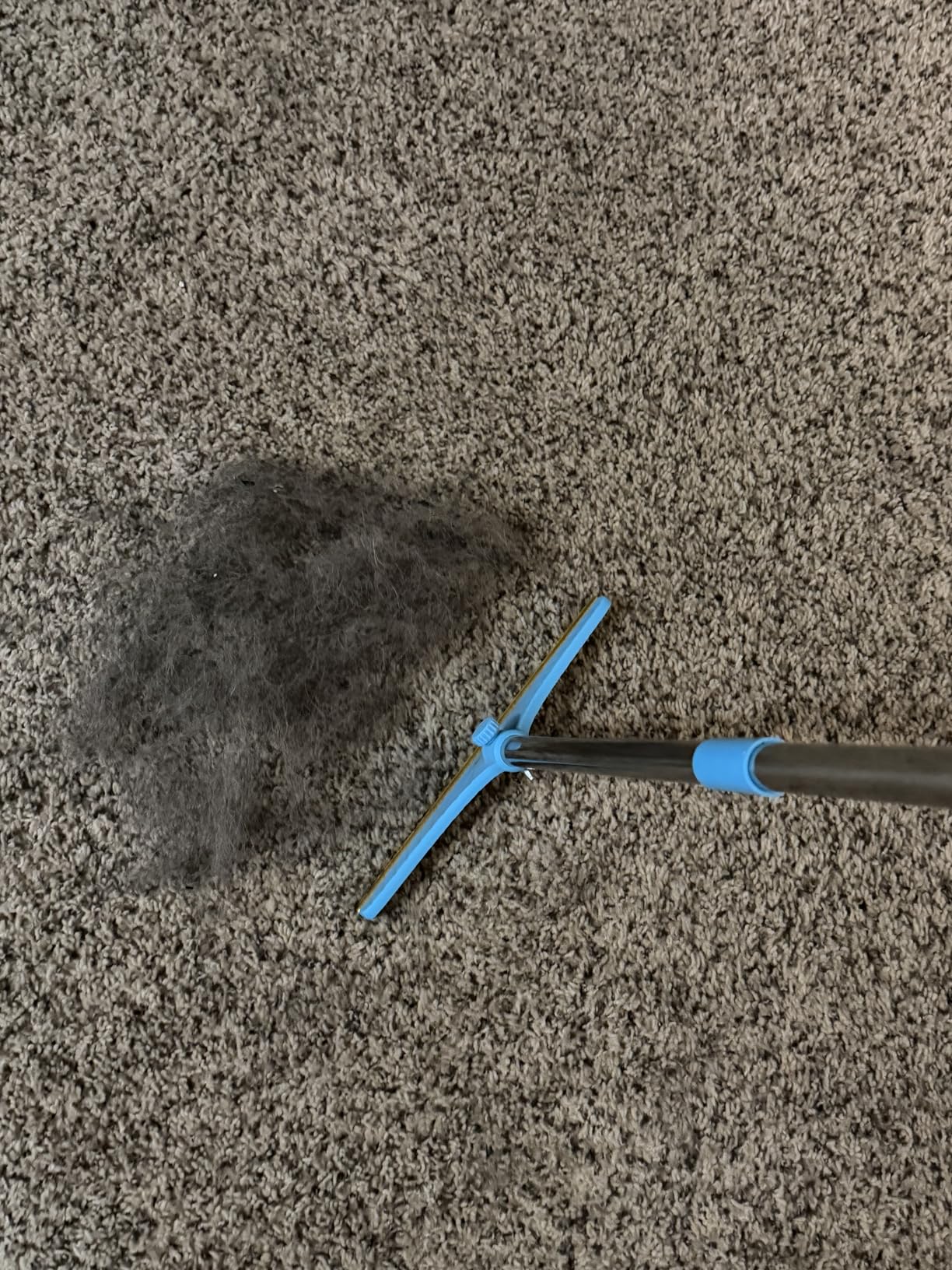 Carpet Rake for Pet Hair Removal - Reusable Pet Hair Remover, 60