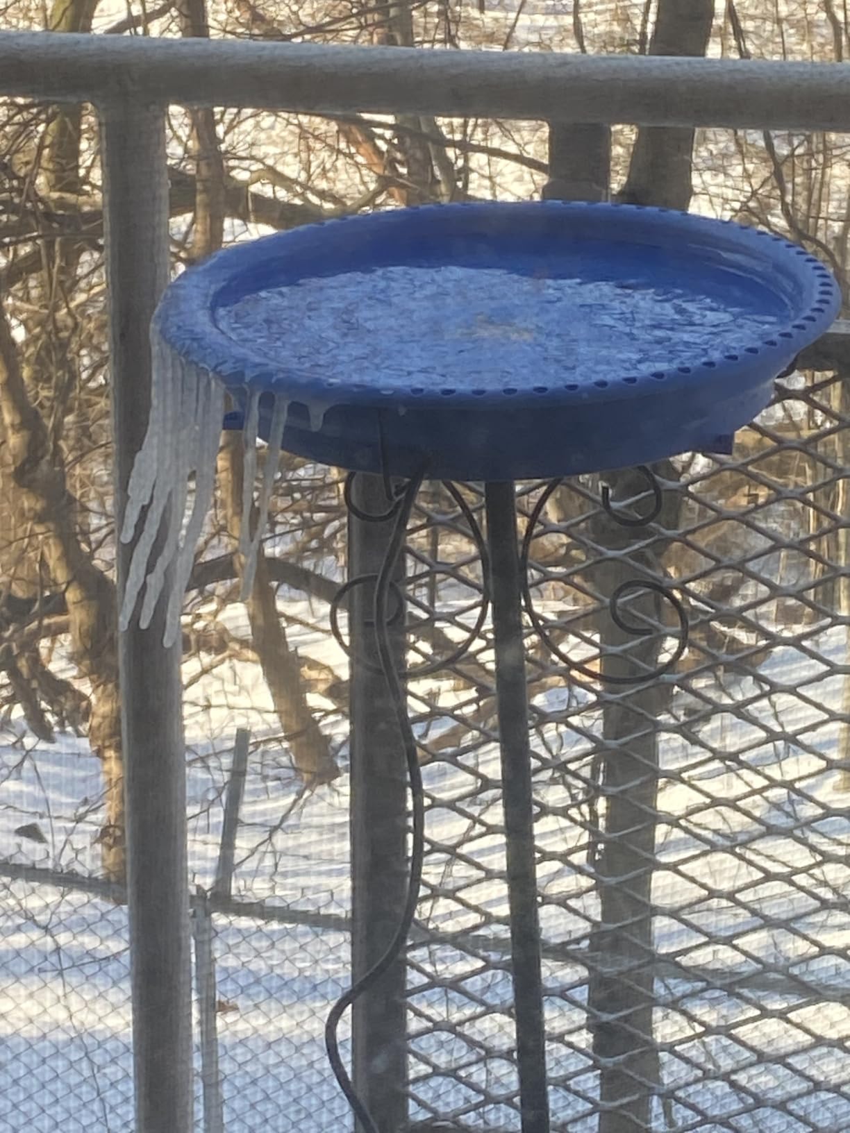 Daoeny Heated Bird Bath for Winter, Upgraded 100W Heated Bird Baths for Outdoors Thermostat Control with 5-Prong Metal Base customer photo 1