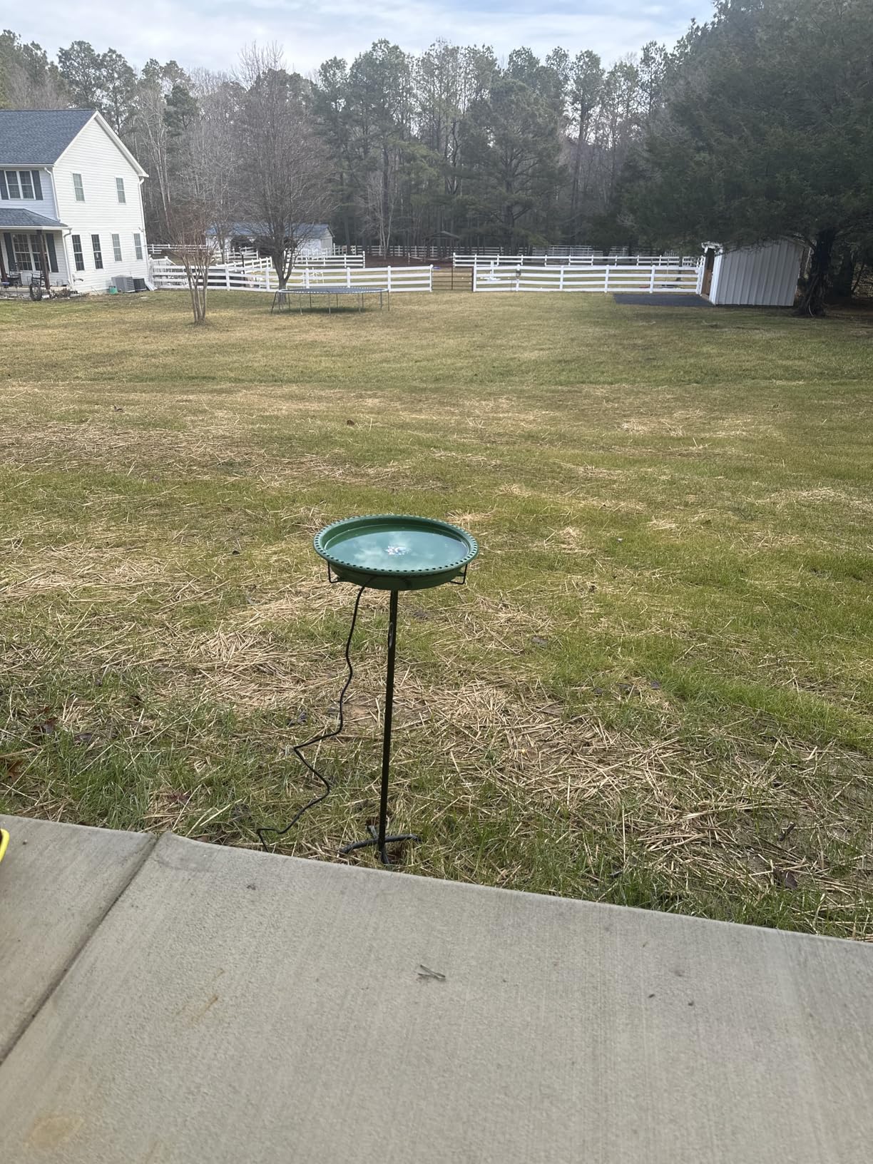 Daoeny Heated Bird Bath for Winter, Upgraded 100W Heated Bird Baths for Outdoors Thermostat Control with 5-Prong Metal Base customer photo 2