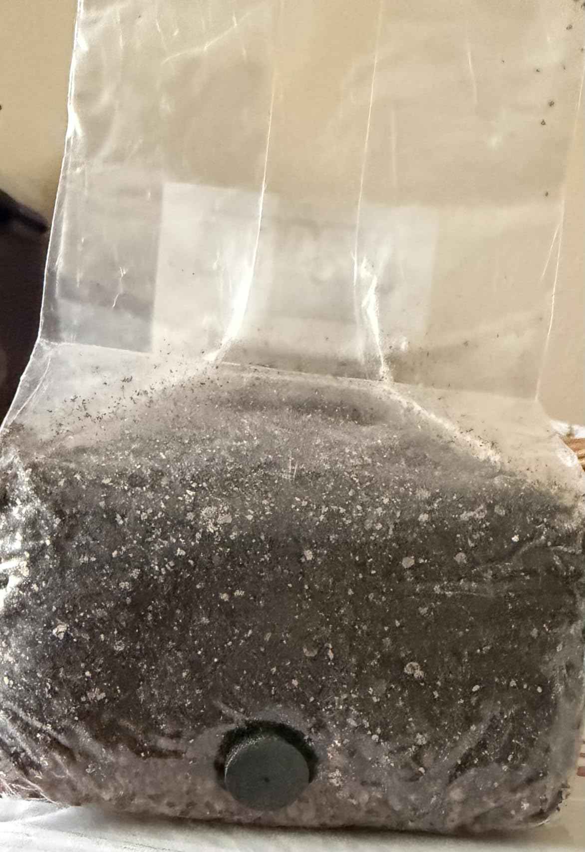 2 LB All-in-One Grow Bag: Up to 16oz of Mushrooms! Nutrient-Enhanced, Injection Port, Just Add Your Own Spores & Grow Like Magic customer photo 2