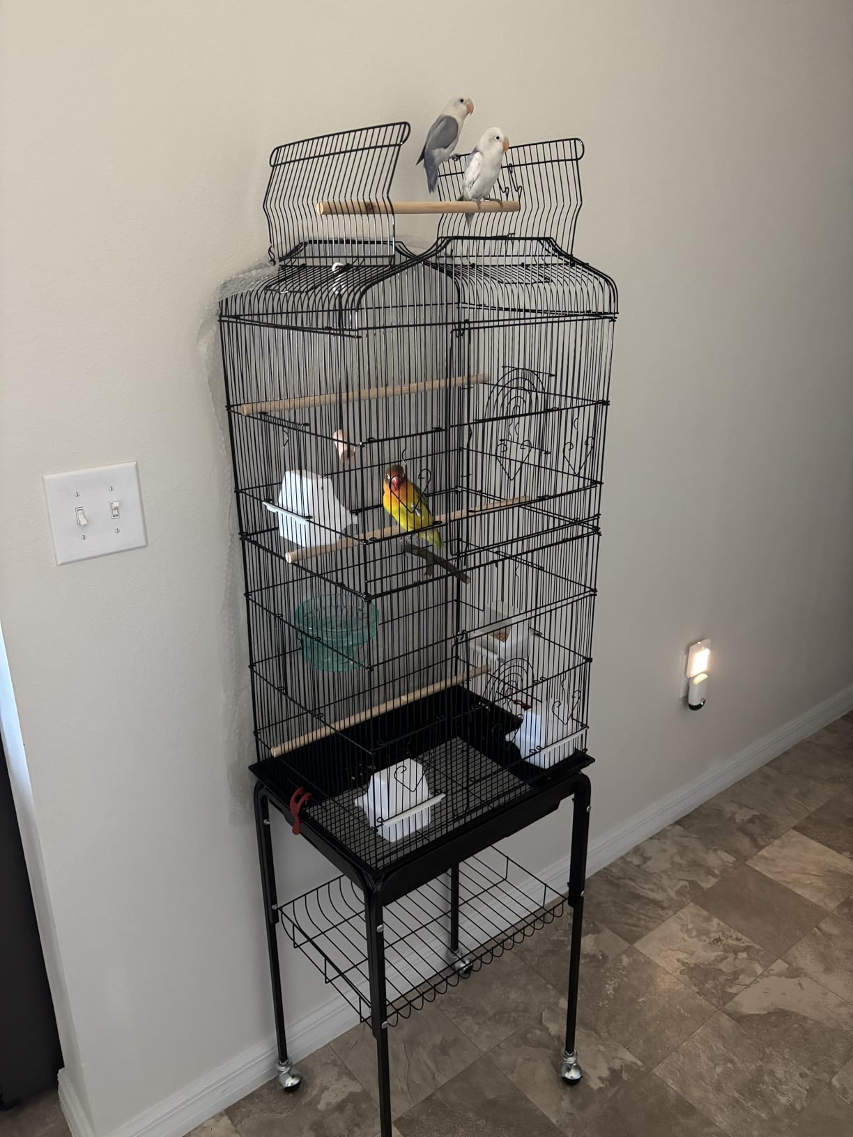 VEVOR 41-inch Open Top Large Parrot Bird Cage, Hanging Bird Cage for Parakeets Finches Canaries Lovebirds Cockatiels Budgies Small Quaker Conures Travel Pet Flight Birdcage with Swing and Perch customer photo 2