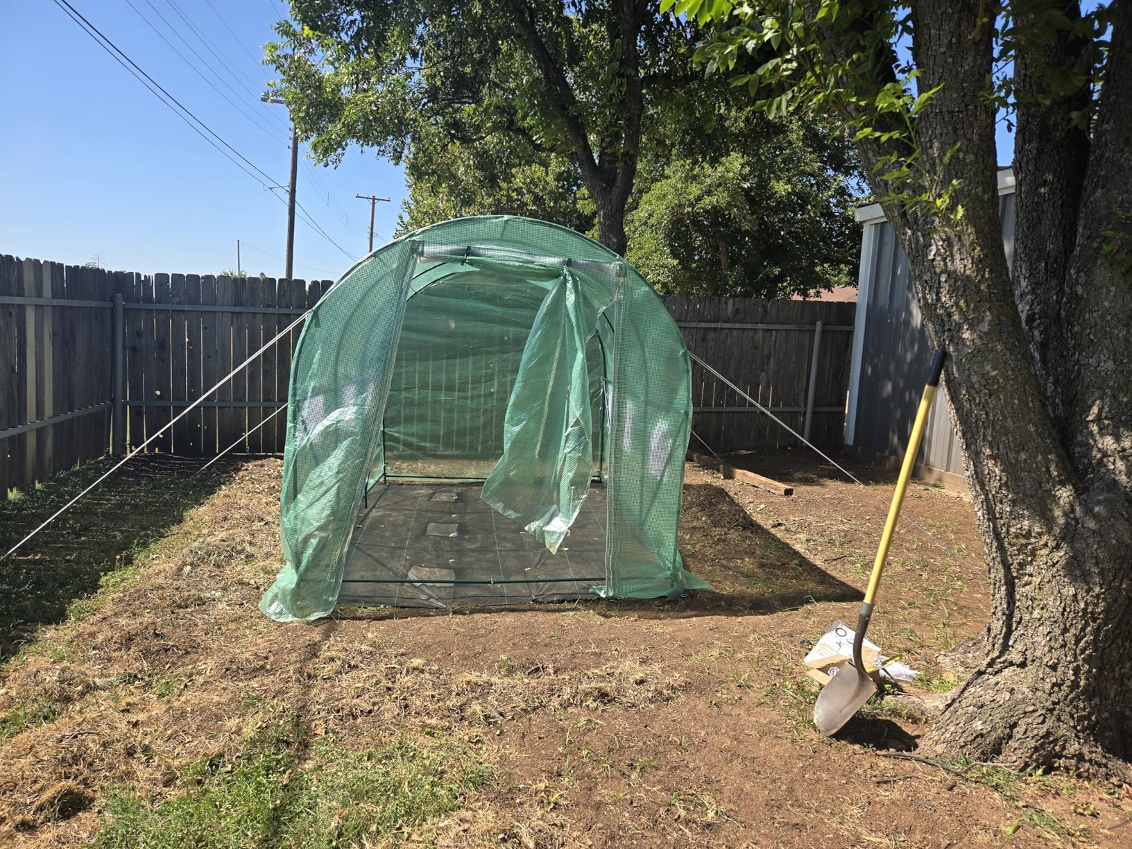 10x7x7 FT Walk-in Greenhouse for Outdoors for Winter Plant Protection, 6-Ventilated Screen Window Portable Greenhouse W/ 2-Zipper Door, PE Cover & Heavy Duty Frame customer photo 1
