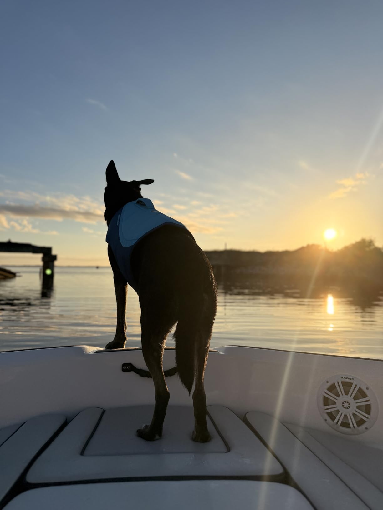 Ruffwear Float Coat Dog Life Jacket, Premium Buoyancy Swim Vest with Lift Handle, Secure Fit & Reflective Trim, Adjustable Flotation for Swimming, Boating, & Outdoor Adventures, Deep Blue, XX-Small customer photo 2