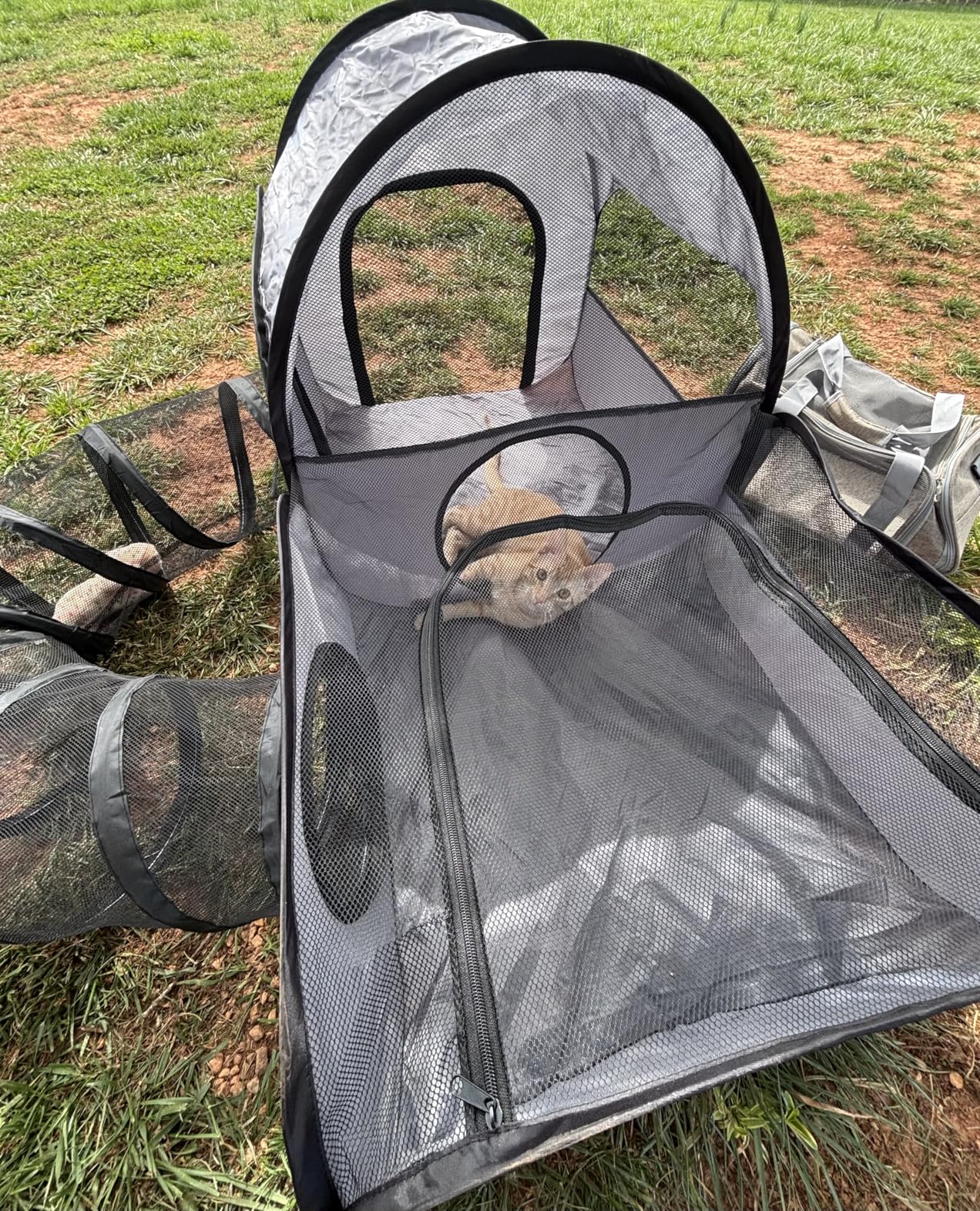 Portable Cat Playpen with Surround Tunnel, 2-Linked-Enclosed Areas, Ideal Cat Tent Outdoor or Cat Playpen for Indoor Cats Enclosed.Breathable Mesh Design for Indoor & Outdoor Use customer photo 1