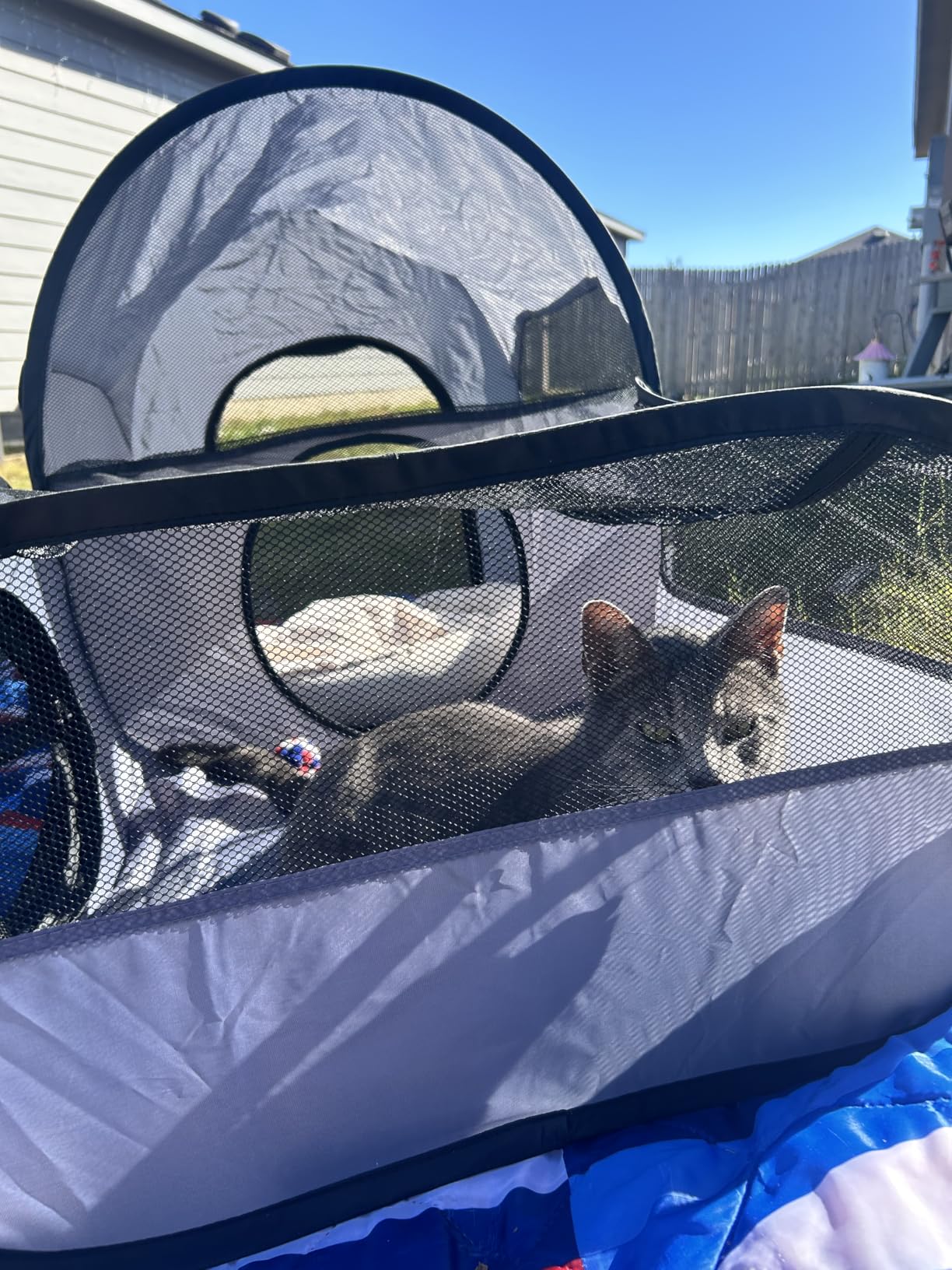 Portable Cat Playpen with Surround Tunnel, 2-Linked-Enclosed Areas, Ideal Cat Tent Outdoor or Cat Playpen for Indoor Cats Enclosed.Breathable Mesh Design for Indoor & Outdoor Use customer photo 2