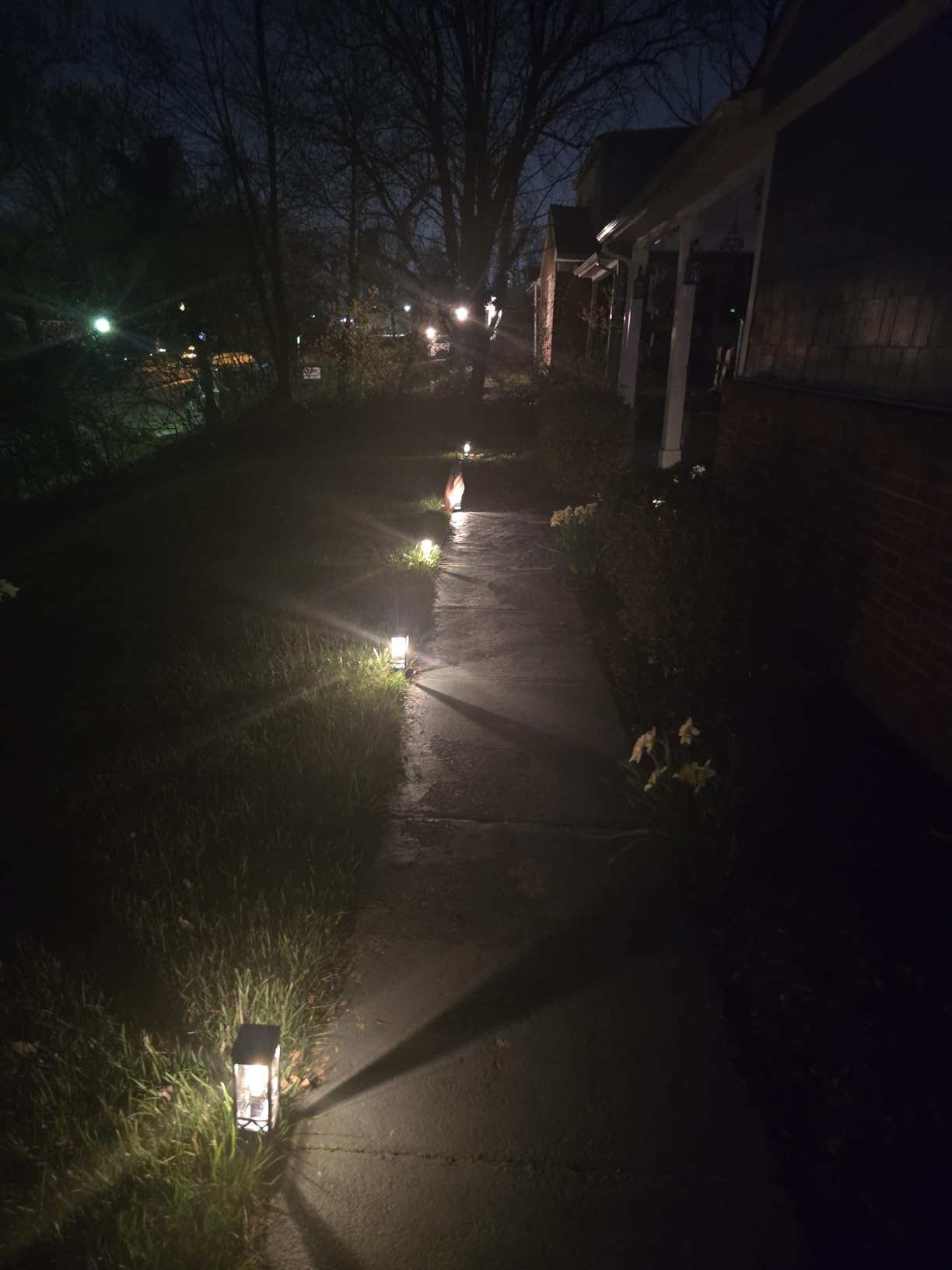 KOOPER Taller Solar Pathway Lights Outdoor, 8 Pack Upgraded Brighter Solar Garden Lights Solar Powered, Up To 15 Hours Outdoor Solar Lights for Yard Landscape Lighting Path Walkway Driveway Sidewalk customer photo 1