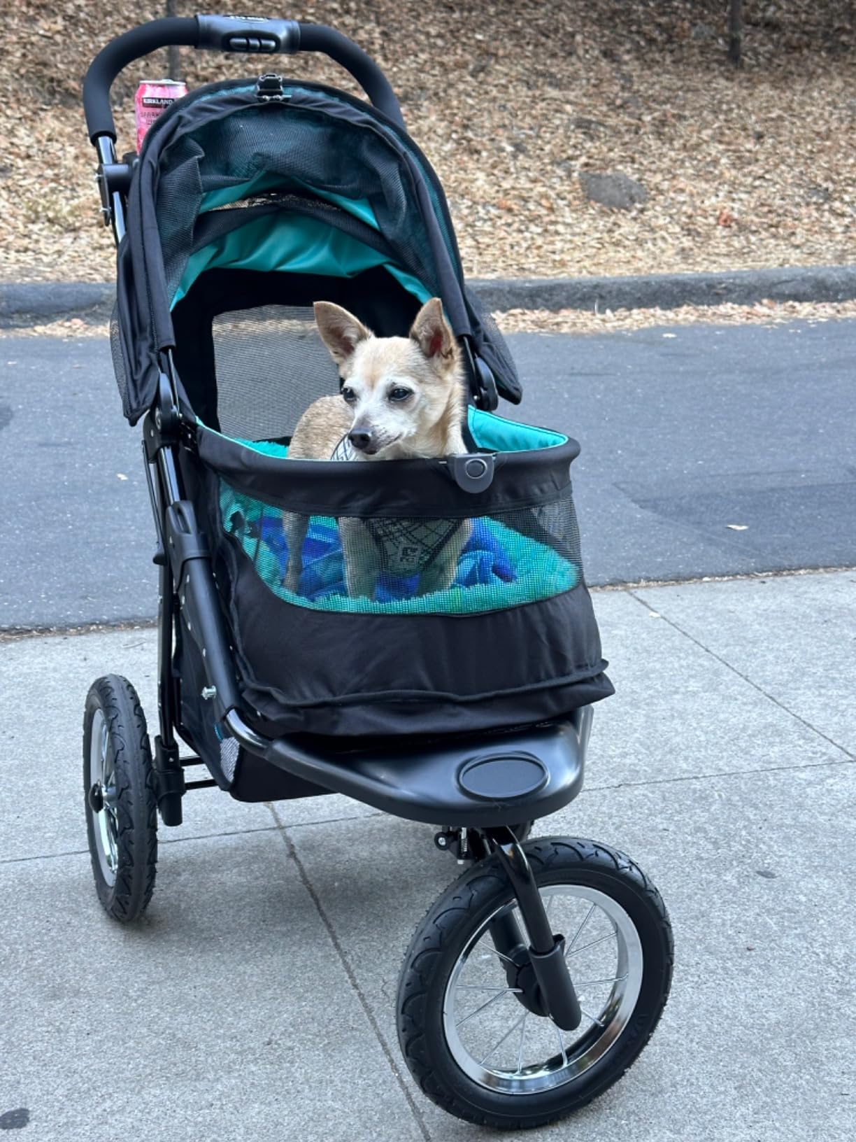 Pet Gear No-Zip NV Pet Stroller for Cats/Dogs, Zipperless Entry, Easy One-Hand Fold, Gel-Filled Tires, Plush Pad + Weather Cover Included customer photo 2