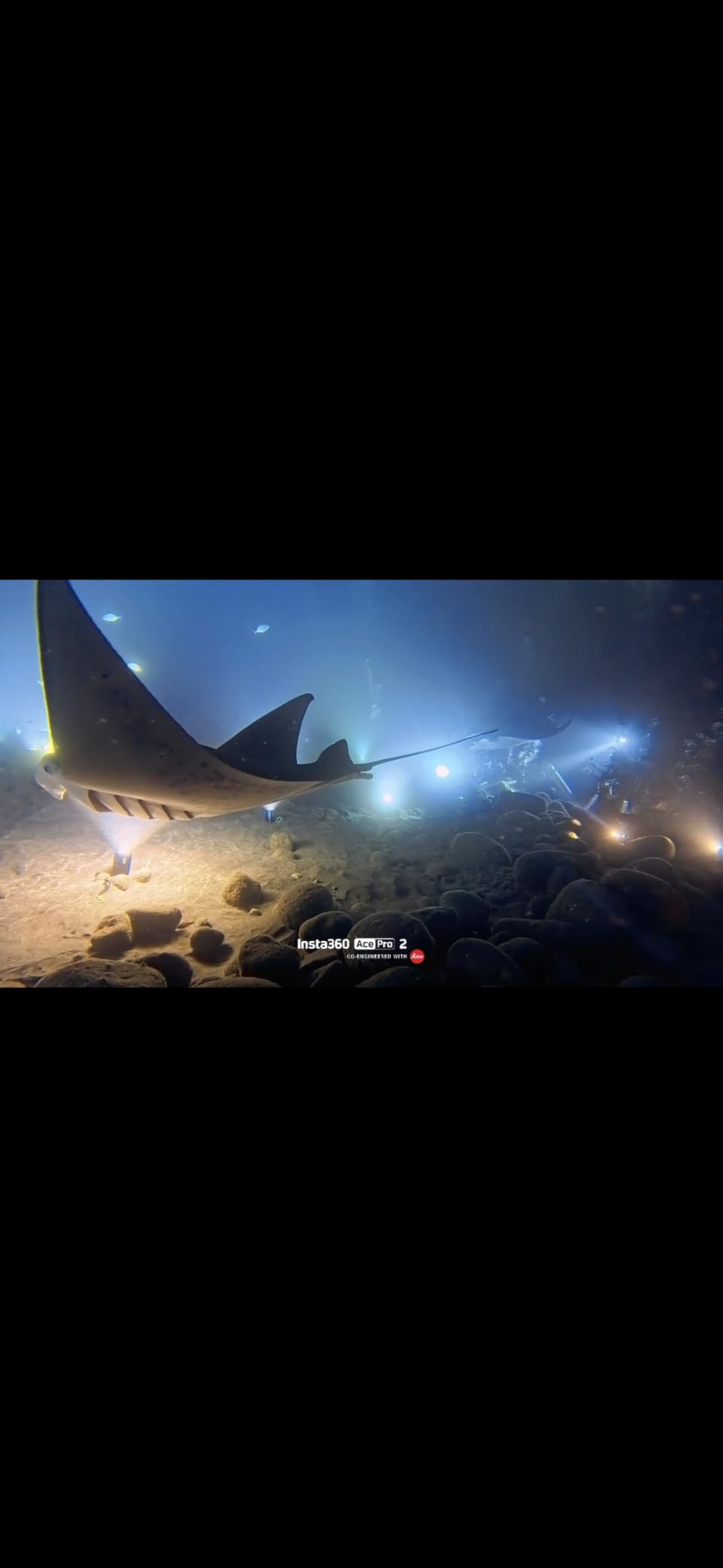 Insta360 Ace Pro 2 Dive Case, Waterproof Down to 197ft (60m), Only Works with The Square Lens customer photo 1
