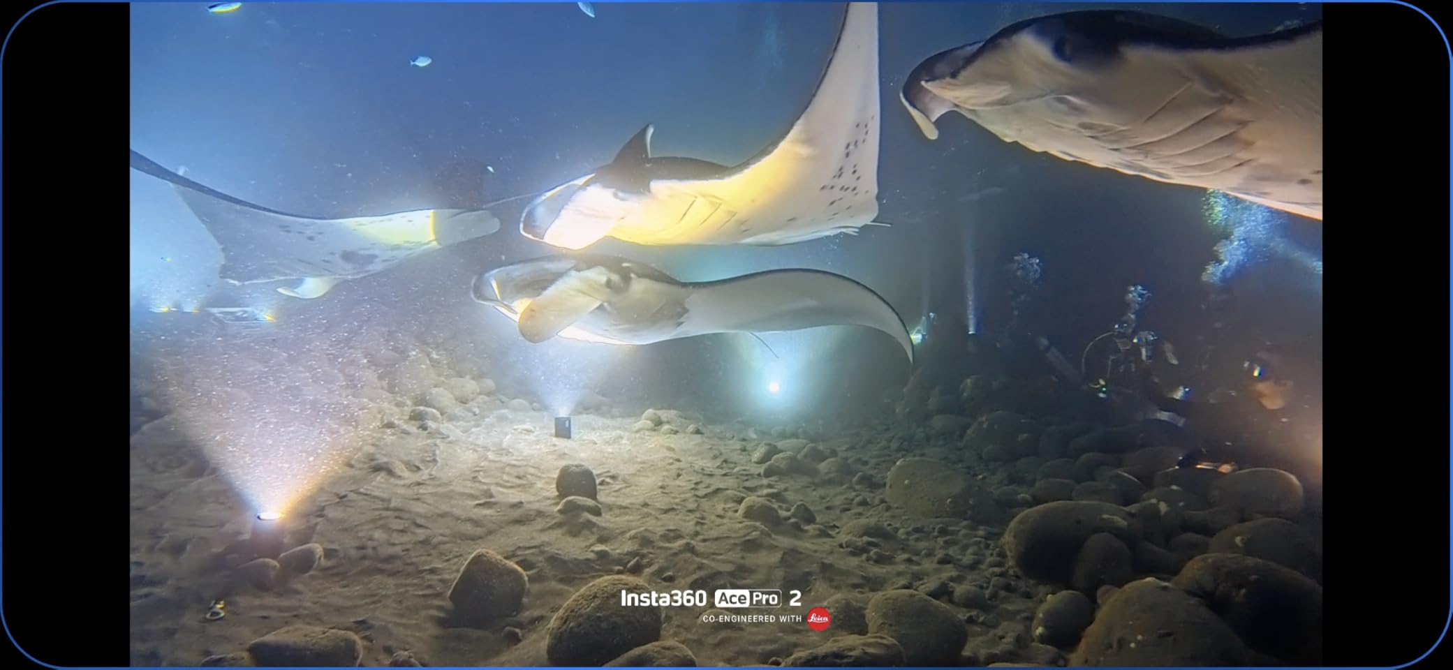 Insta360 Ace Pro 2 Dive Case, Waterproof Down to 197ft (60m), Only Works with The Square Lens customer photo 2