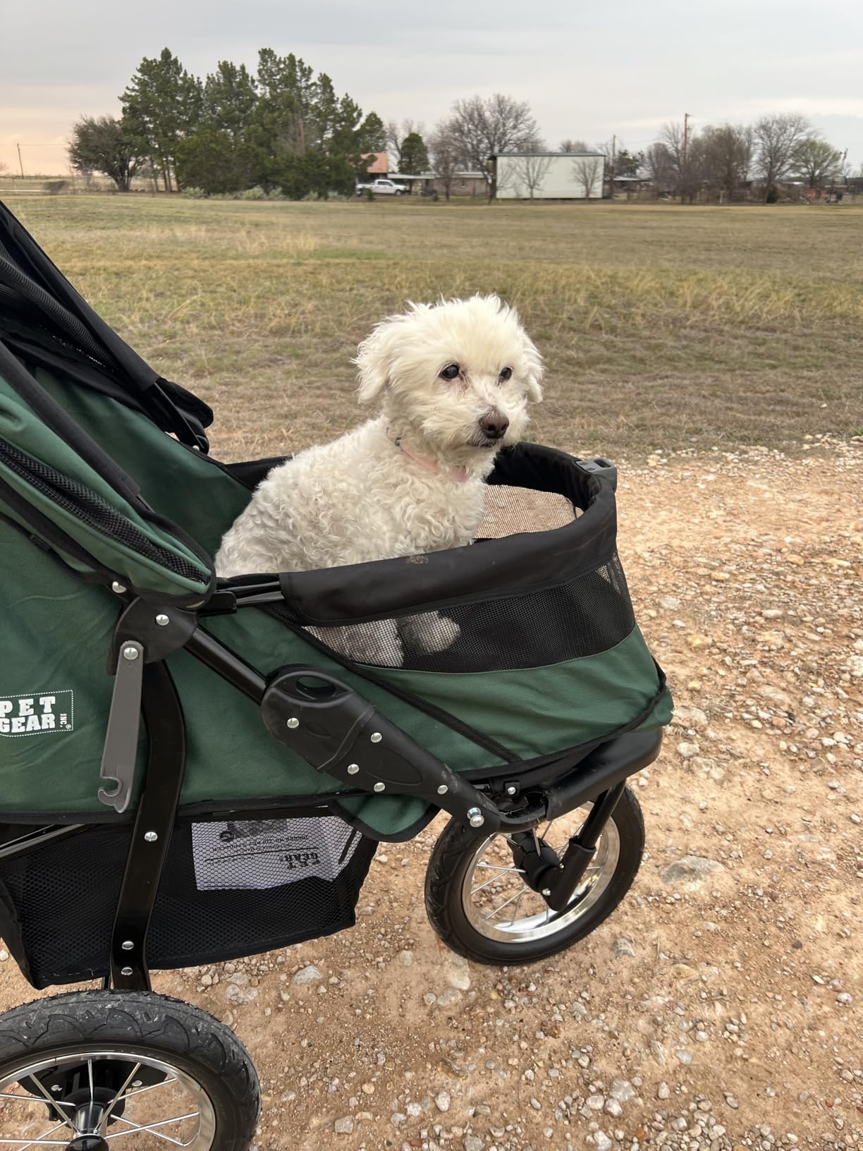 Pet Gear No-Zip Jogger Pet Stroller for Cats/Dogs, Zipperless Entry, Airless Tires, Easy One-Hand Fold, Cup Holder + Storage Basket customer photo 1
