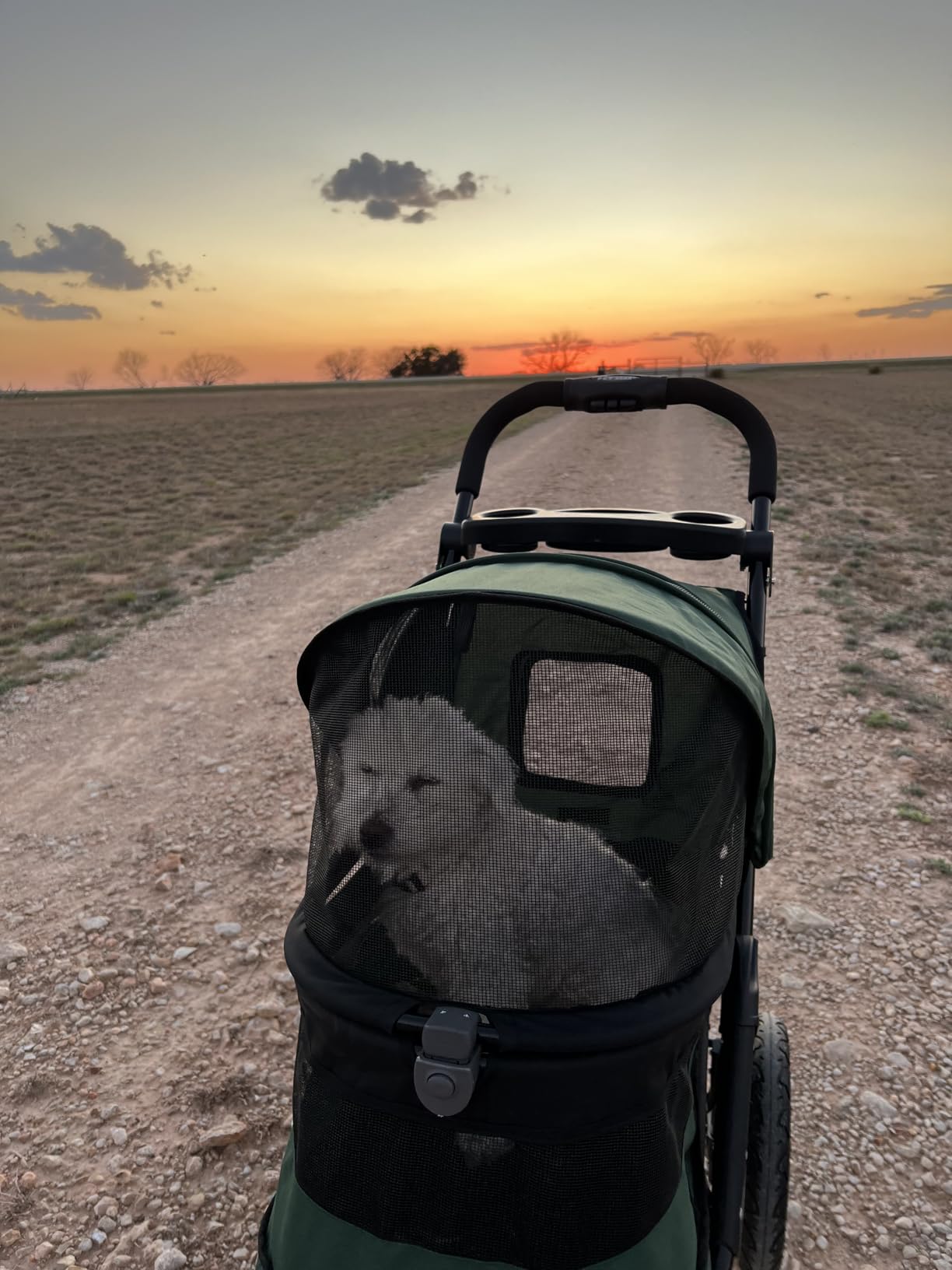 Pet Gear No-Zip Jogger Pet Stroller for Cats/Dogs, Zipperless Entry, Airless Tires, Easy One-Hand Fold, Cup Holder + Storage Basket customer photo 2