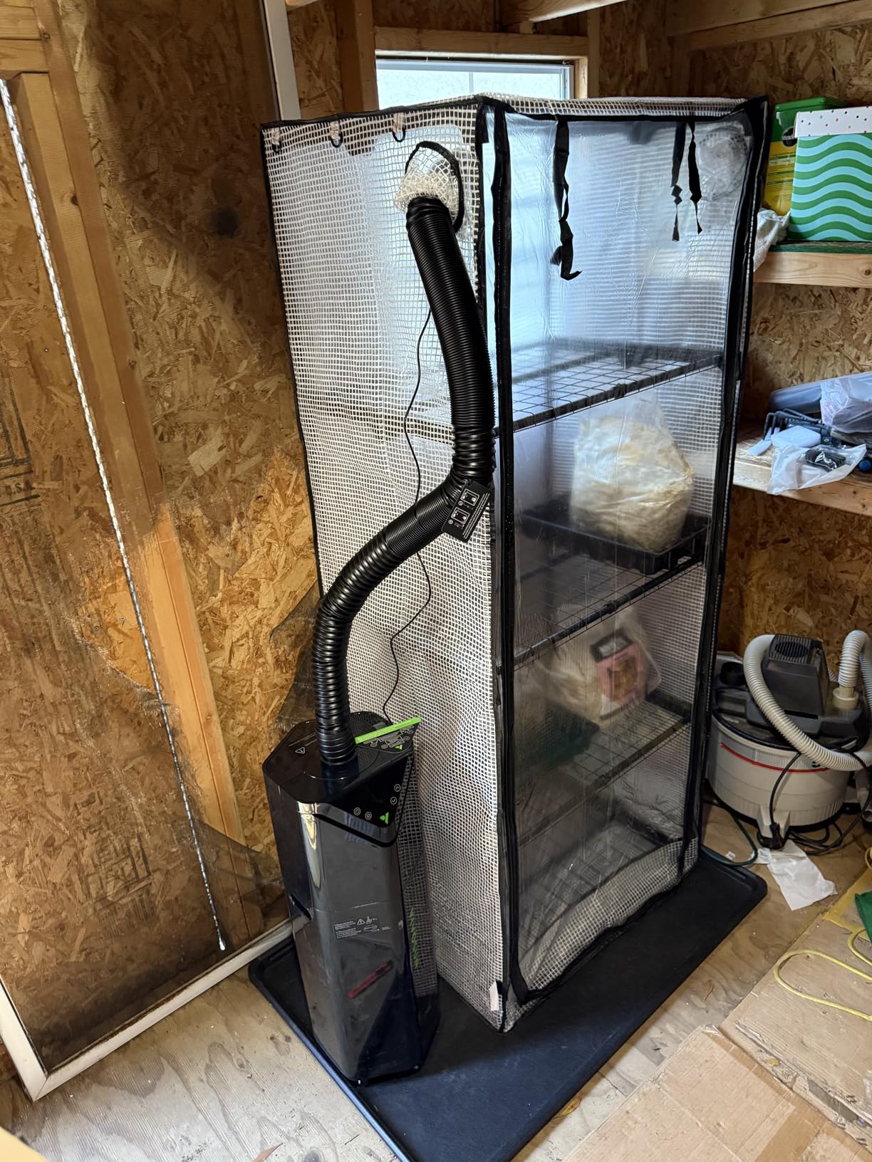 Mushroom Grow Tent, Martha Tent for Mushroom Growing kit, Small Greenhouse for Indoor, Mini Greenhouse Indoor, Mushroom Fruiting Chamber customer photo 1