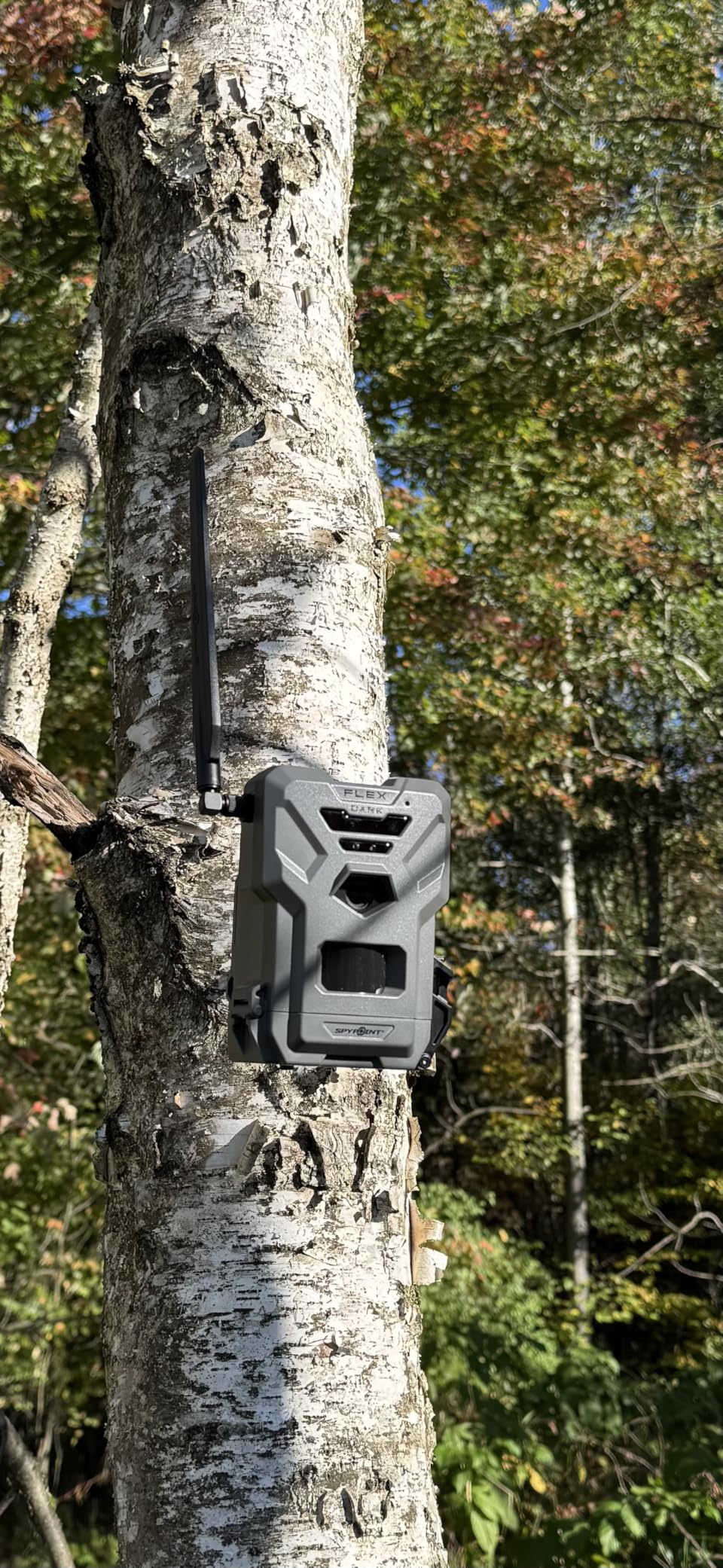 SPYPOINT Flex-Dark Cellular Trail Camera, 40MP Photos, 1080p Video + Sound, No-Glow Game Camera, Hunting Night Vision, Motion Activated,100ft Detection, No WiFi Needed Trail Cam customer photo 1