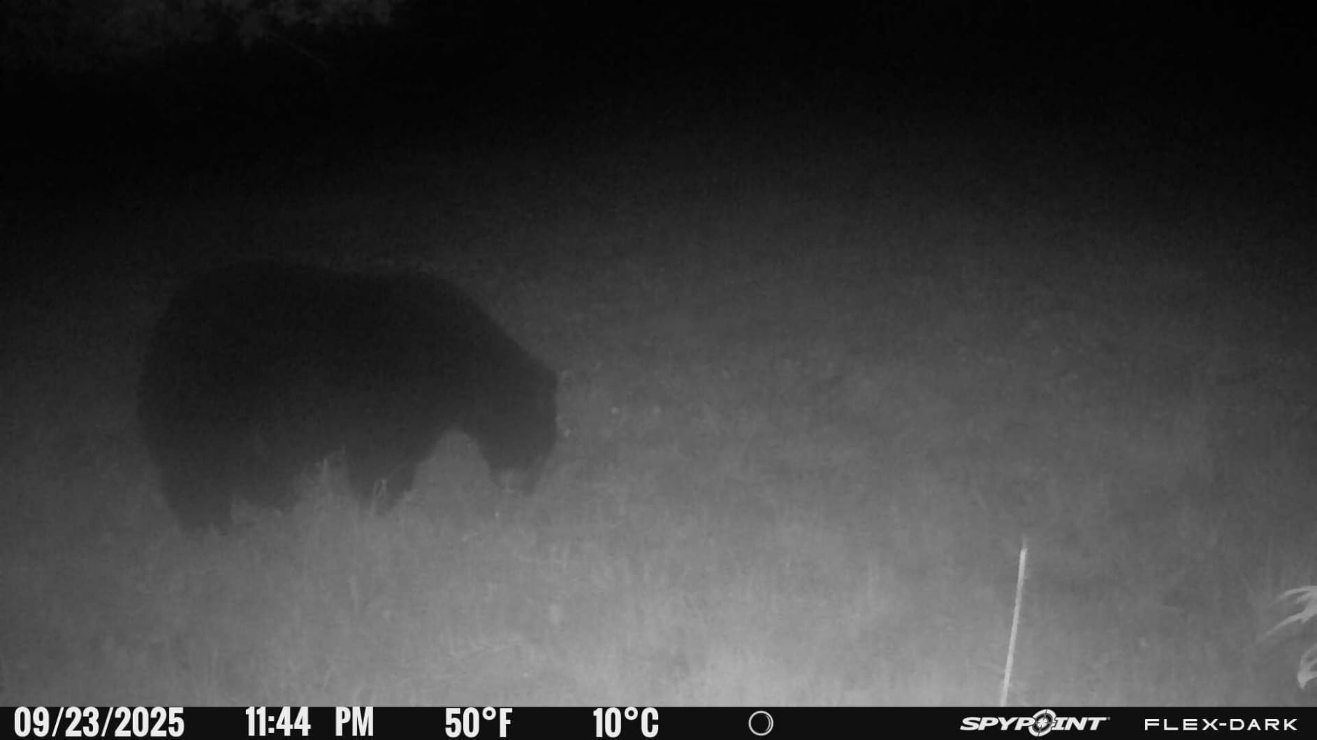 SPYPOINT Flex-Dark Cellular Trail Camera, 40MP Photos, 1080p Video + Sound, No-Glow Game Camera, Hunting Night Vision, Motion Activated,100ft Detection, No WiFi Needed Trail Cam customer photo 2