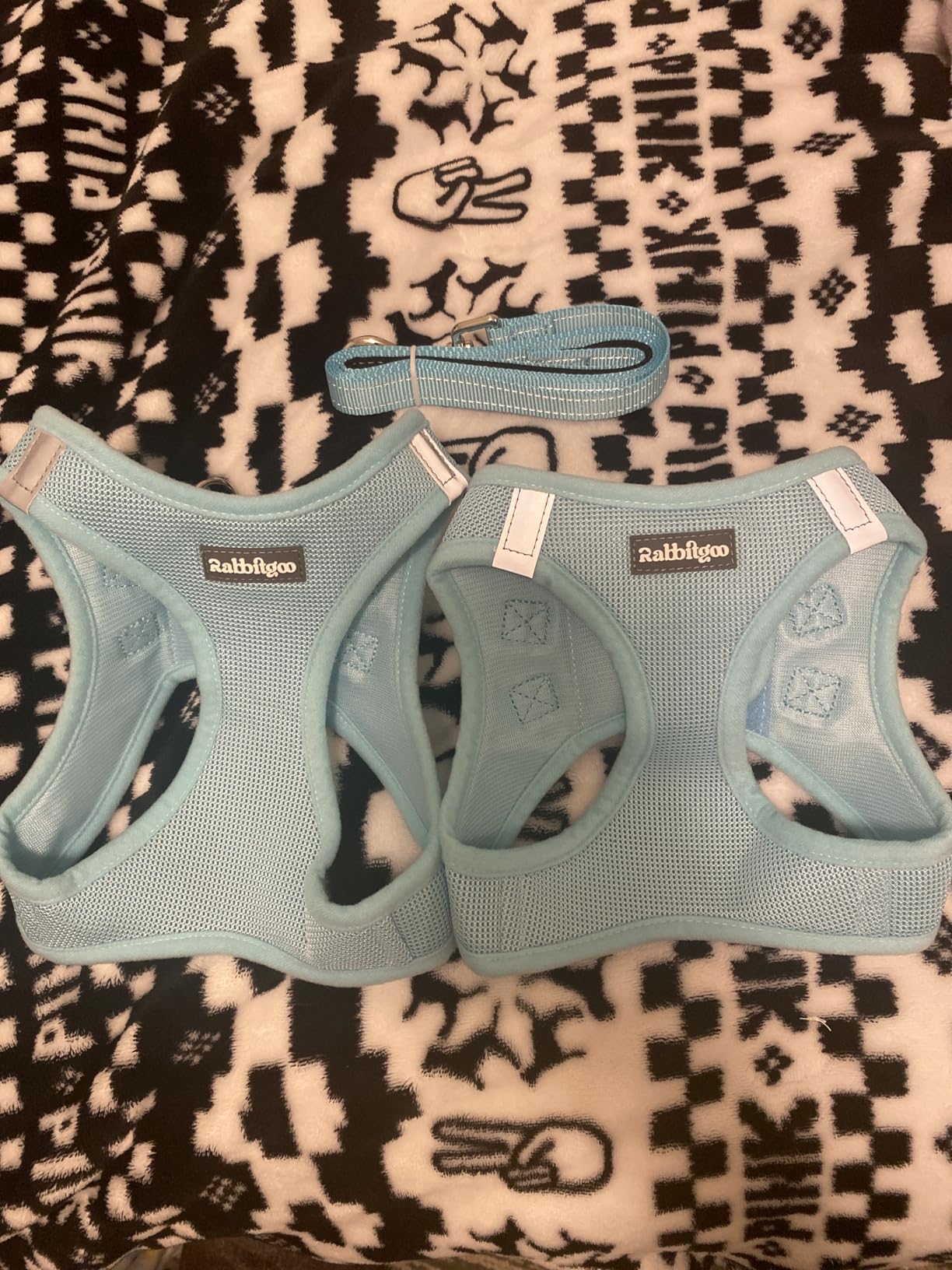 rabbitgoo Dog Harness Small Sized and Leash Set, Step in Soft Light Puppy Vest, Breathable Mesh Pet Harness, Reflective for Safe Easy Walking, Rose Red S customer photo 2