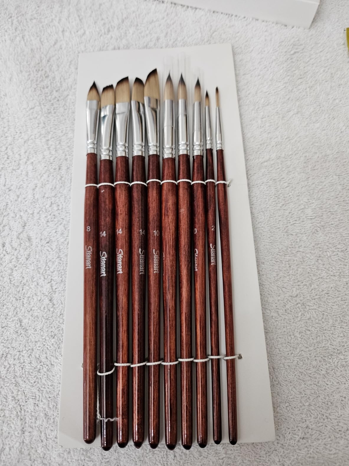 Watercolor Brushes Professional, 10 PCS Artist Paint Brush Shapes Including Pointed Rounds, Flats, Filbert, Cat's Tongue Oval Wash, Dagger customer photo 2