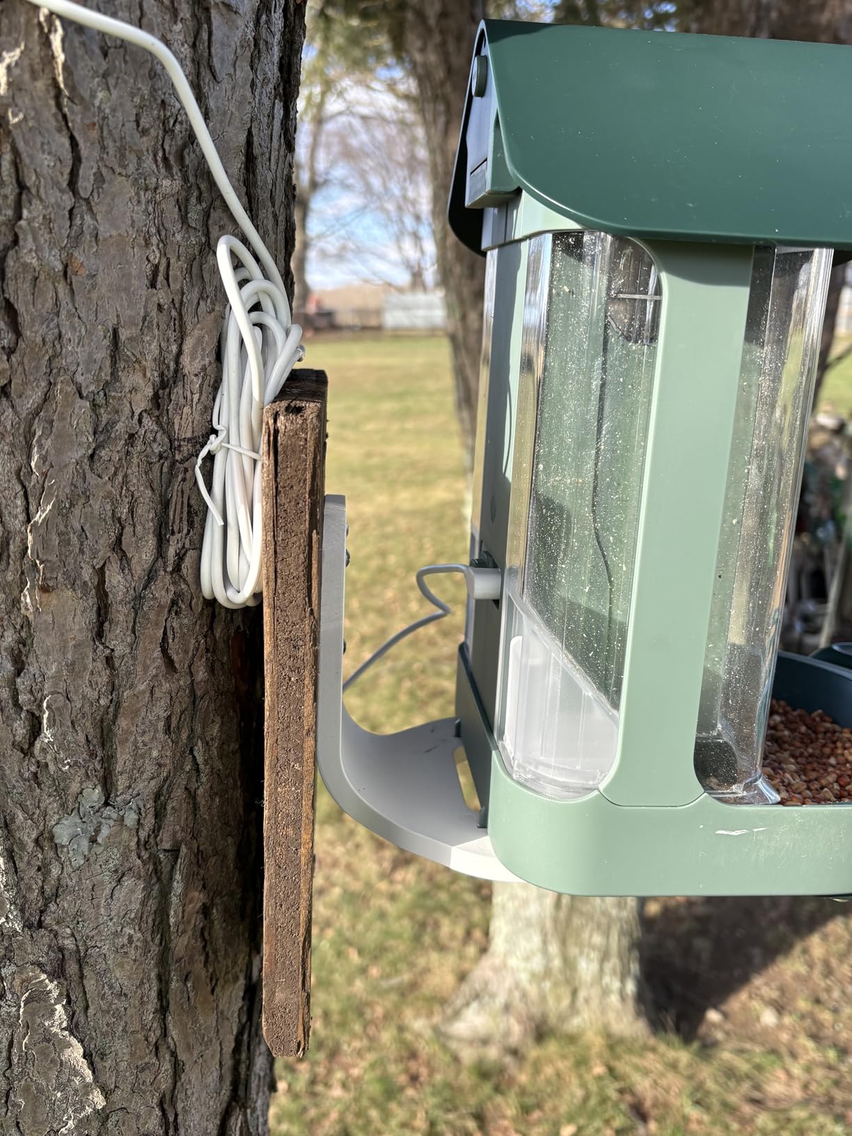 Kiwibit Smart Bird Feeder 4K AI Camera with Solar Panel for Outdoors, Bird Species Identification, 8MP Photos, 4K Video Livestream, Real-Time Bird Alerts, Birdwatching Gift for Bird Lovers, Sage Pine customer photo 2