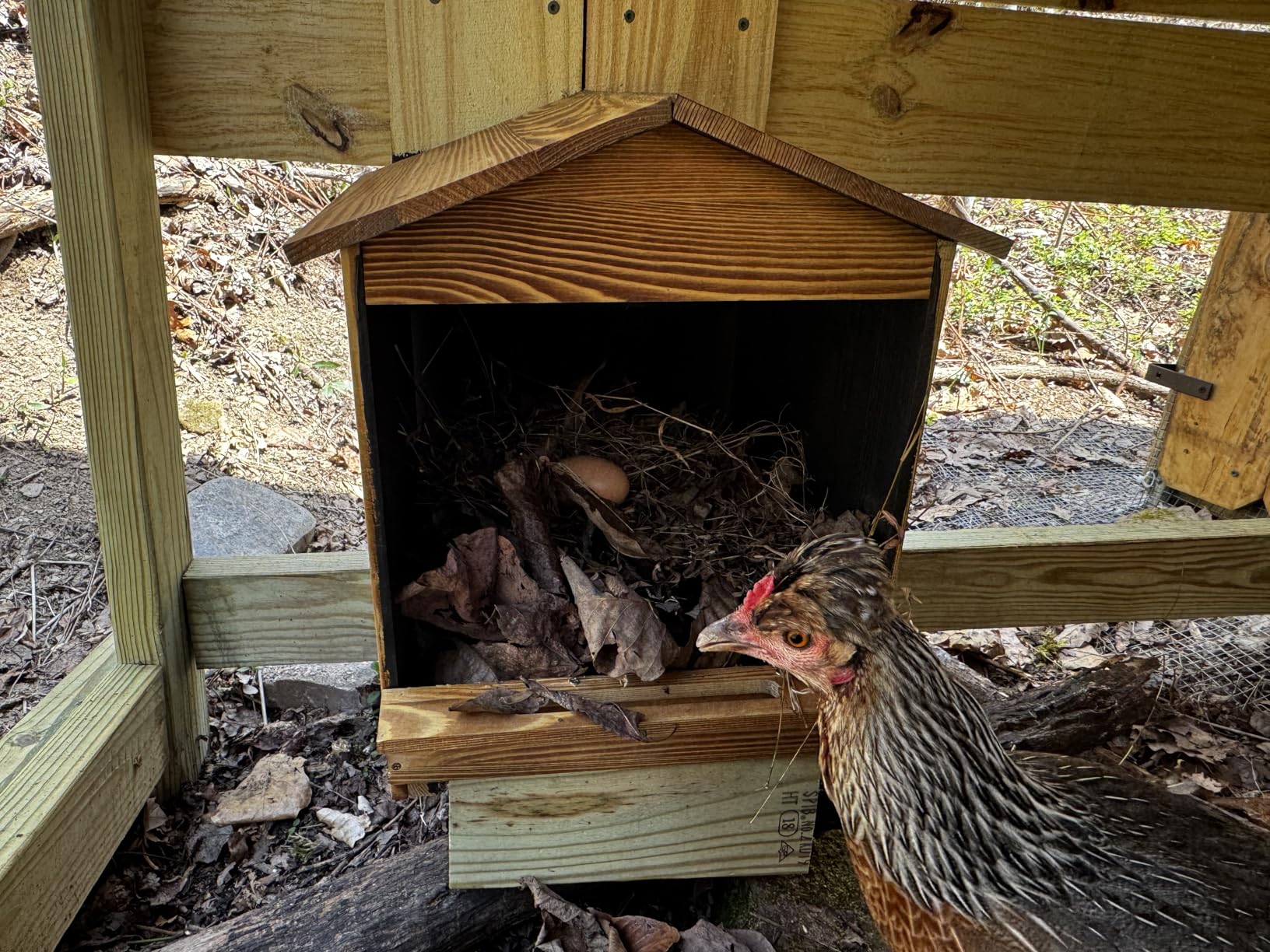 Chicken Nesting Box 3 Compartments - Wall Mount Wooden Egg Laying Nest Box for Chicken Coop, Easy to Assemble and Versatile Use for Hens, Ducks, Chickens customer photo 1