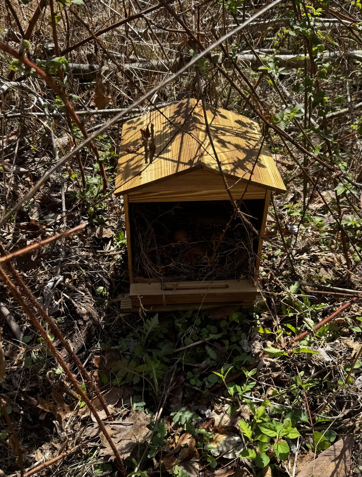 Chicken Nesting Box 3 Compartments - Wall Mount Wooden Egg Laying Nest Box for Chicken Coop, Easy to Assemble and Versatile Use for Hens, Ducks, Chickens customer photo 2