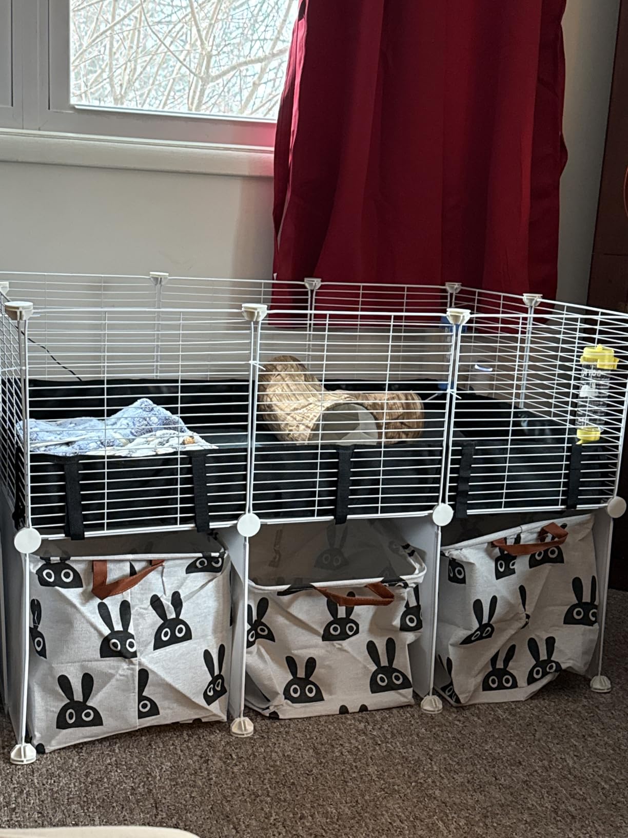 MEEXPAWS Guinea Pig Cages Small Animal Playpen with Waterproof PVC Liner & Washable Pee Pad & Storage Space, C&C Cage for Guinea Pigs, Hedgehog, Hamsters, Ferrets,Indoor Enclosure Wire Yard Playpen customer photo 1