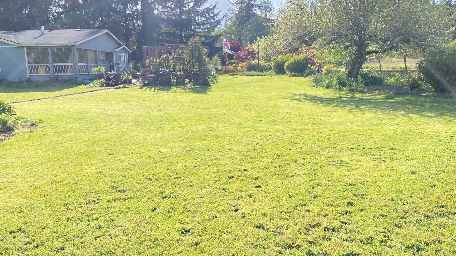 T1200Pro Robot Lawn Mower Wire Free, RTK+Vision Ride-on Edge Mapping Mowing for 0.37 Acre Yard, AI Obstacle Avoidance, APP Multi-Zone Management, Automatic Robotic Lawnmower Handle 24° Slope customer photo 1