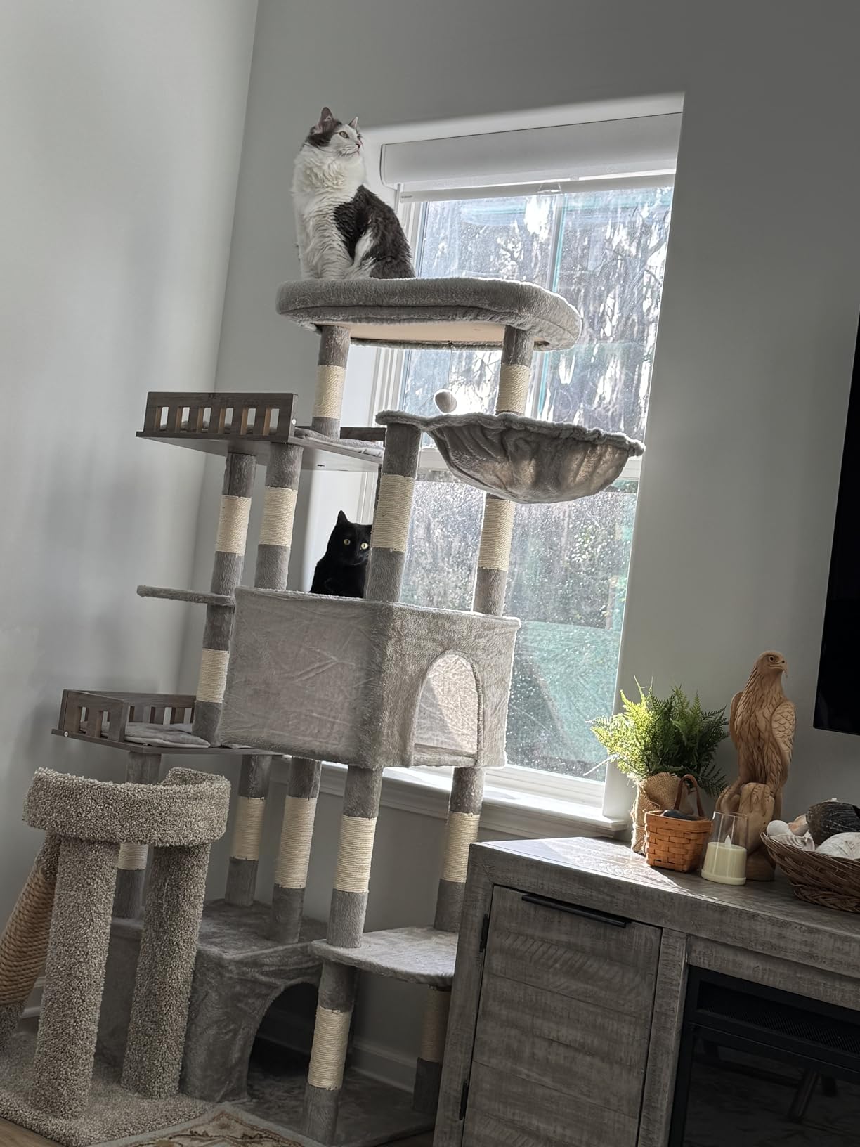 Gitelsnour Maine Coon Cat Tree, Heavy Duty Cat Tree for Indoor Cats Large Adult, Cat Tower for Large Cats 20 lbs+ with Hammock, 2 Big Perches, 2 Cat Condos, 15 Scratching Posts, Smoky Gray GCT033G customer photo 2