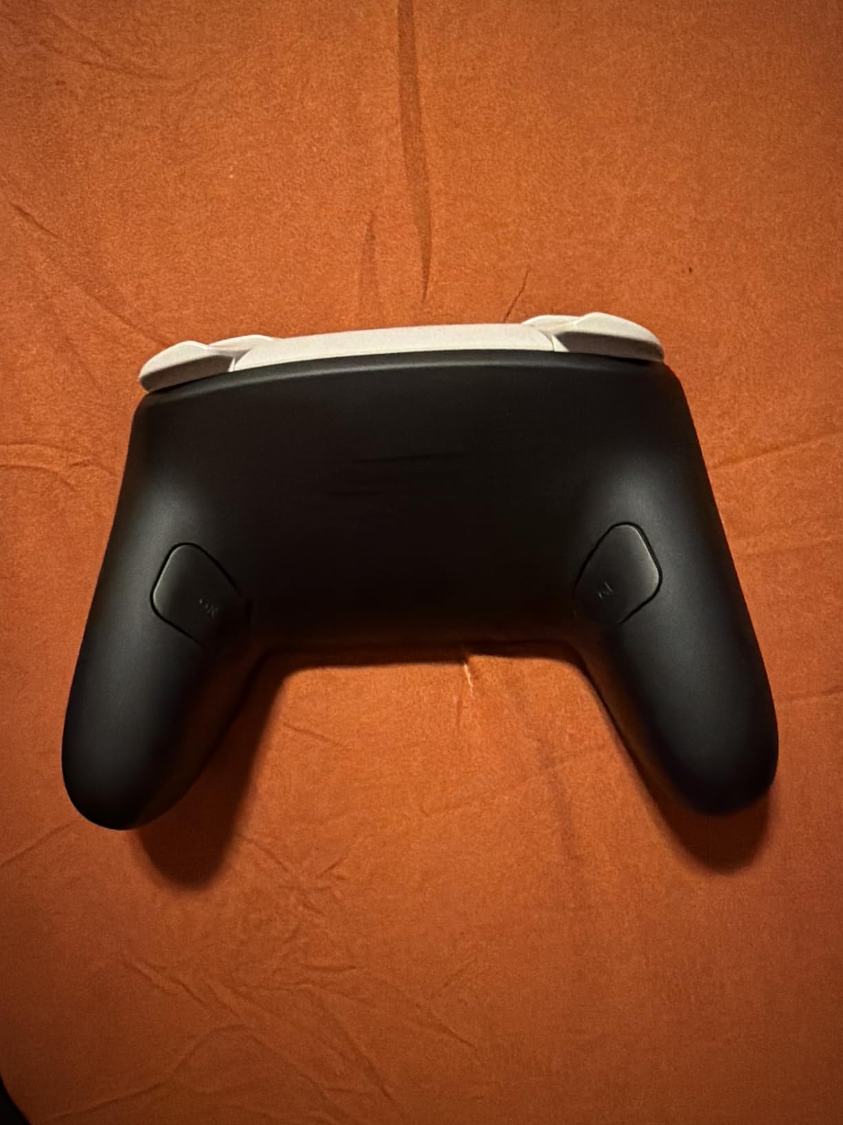 Nintendo Switch 2 Pro Controller customer photo 2