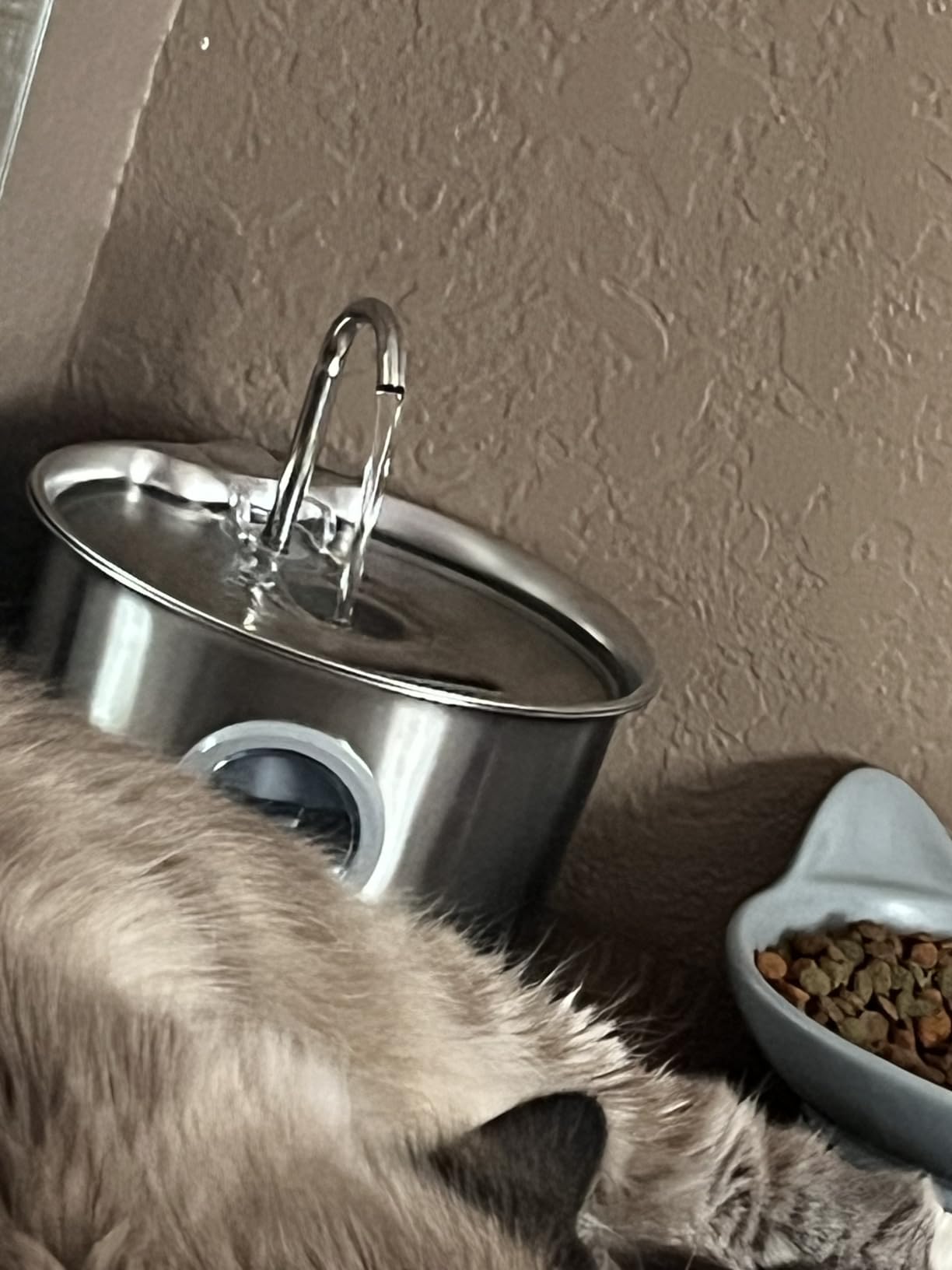 Cat Water Fountain Stainless Steel: Cat Fountain for Drinking - 88oz/2.6L Pet Water Fountain for Cats Indoor - Quiet Cats Water Bowl Dispenser - Pets Feeding & Watering Supplies - for Small Animals customer photo 1