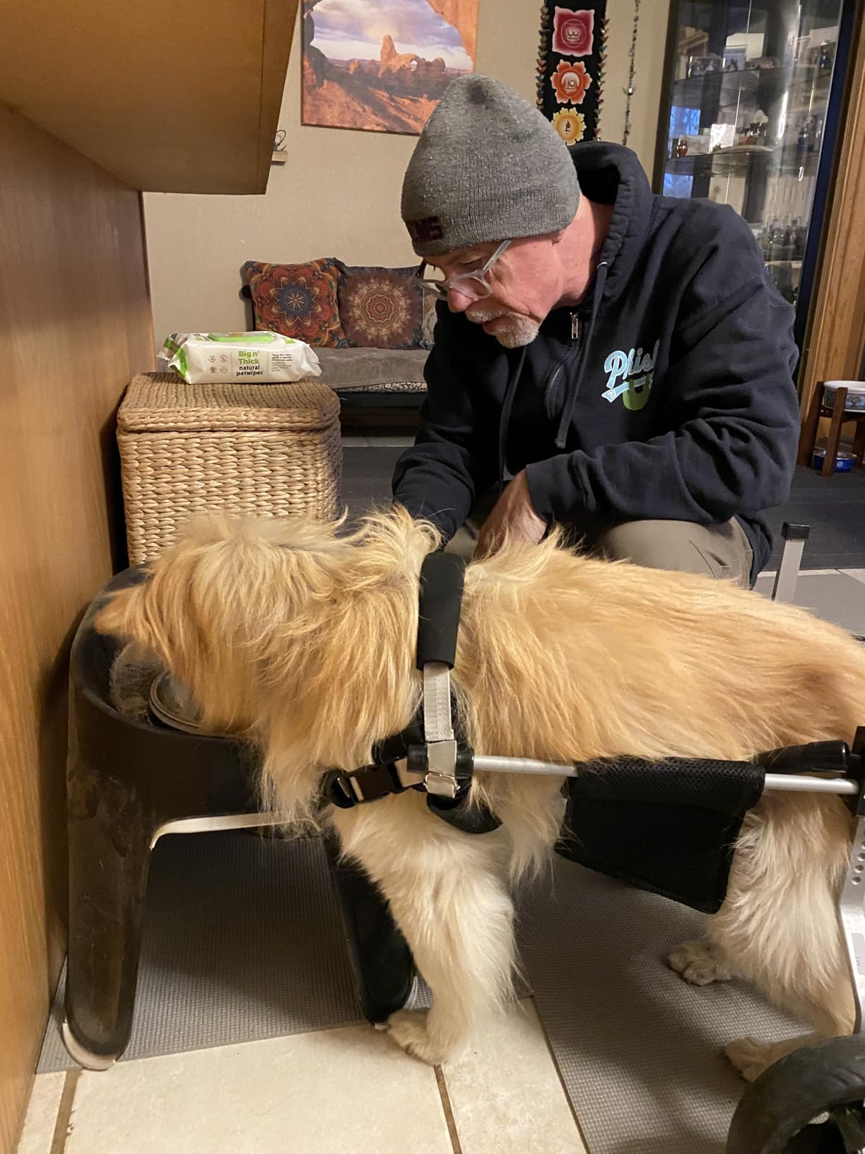 All-Terrain Dog Wheelchair for Back Legs - Lightweight & Adjustable for Medium to Large Dogs - Easy to Assemble Mobility Aid customer photo 2
