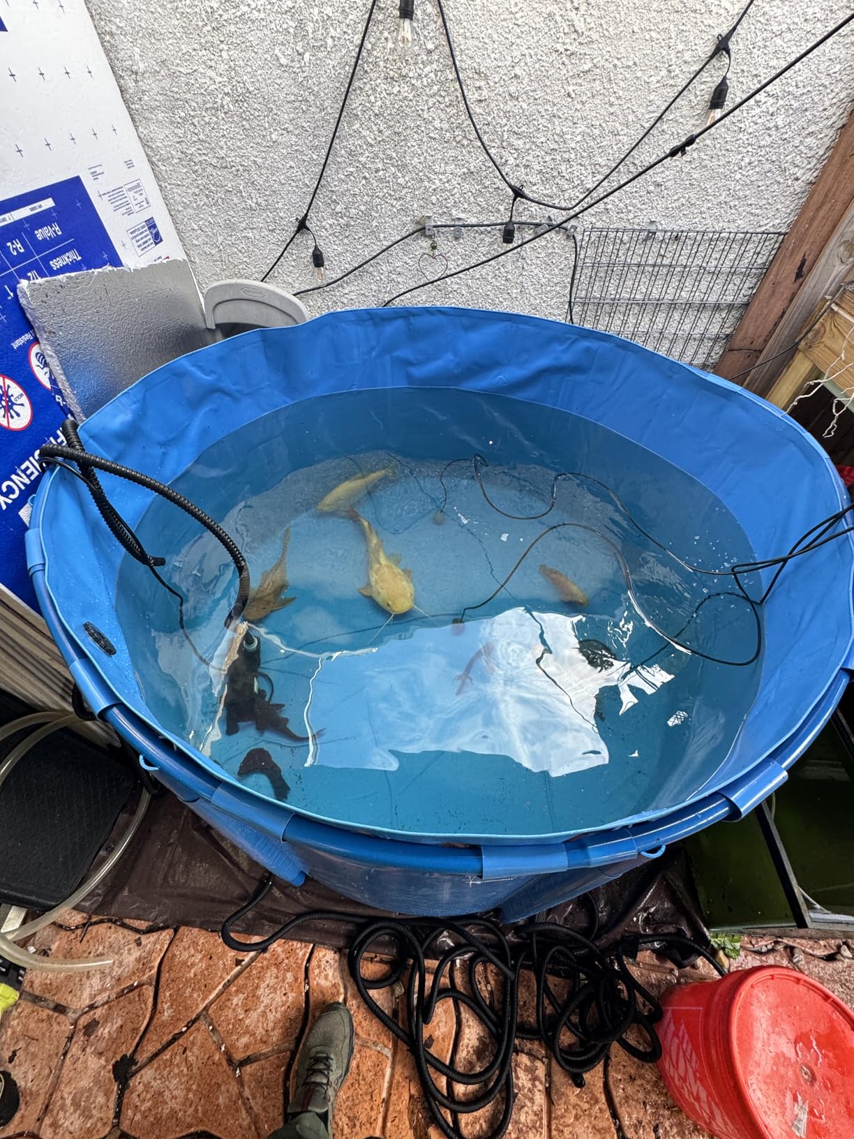 VEVOR Canvas Fish Pond, 470 Gal Above Ground Fish Pond, PVC Koi Tank with Clear Viewing Panel customer photo 2