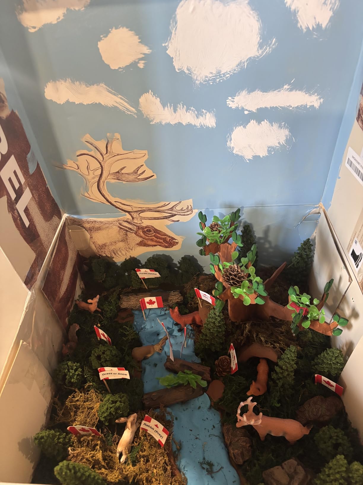 Forest Diorama Kit Project Supplies Include Woodland Animals Figures Deer Figures Artificial Model Tree Fake Rocks Moss with Gift Box for Gifts Birthday Christmas Party Favors customer photo 2