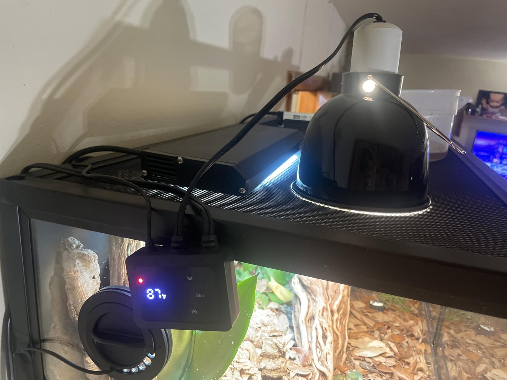 Reptile Heat Lamp Fixture with Dimming Thermostat - 5.5'' Light Dome with PID Thermostat, for Ceramic Heat Emitter & Basking Light Bulb, for Bearded Dragon, Snake, Tortoise, Lizard Tank Accessories customer photo 2