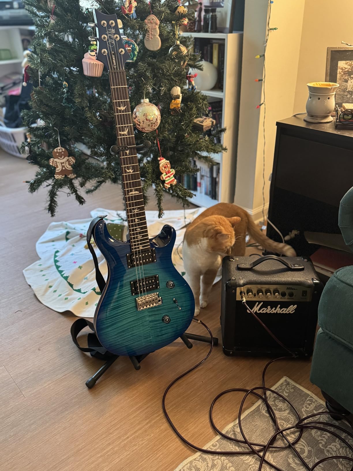 PRS SE Custom 24 Exclusive Electric Guitar with Gigbag, Lake Blue customer photo 1