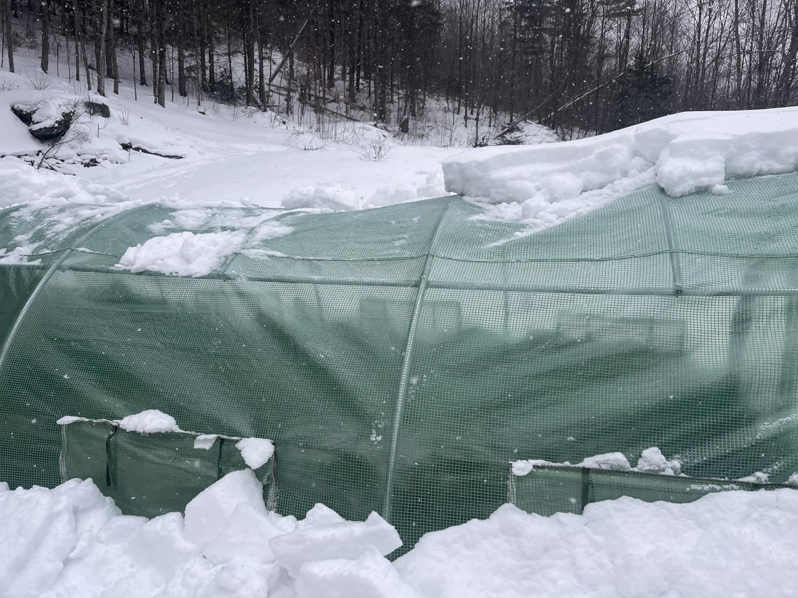 Quictent Premium Greenhouse for Outdoors with Swing Door, Large Walk-in Green House W/ Upgraded Tunnel Hoop Frame & PE Cover Outside Garden Plant Tent, 2 Doors 10 Screen Windows, 25x10x6.6 FT, White customer photo 1