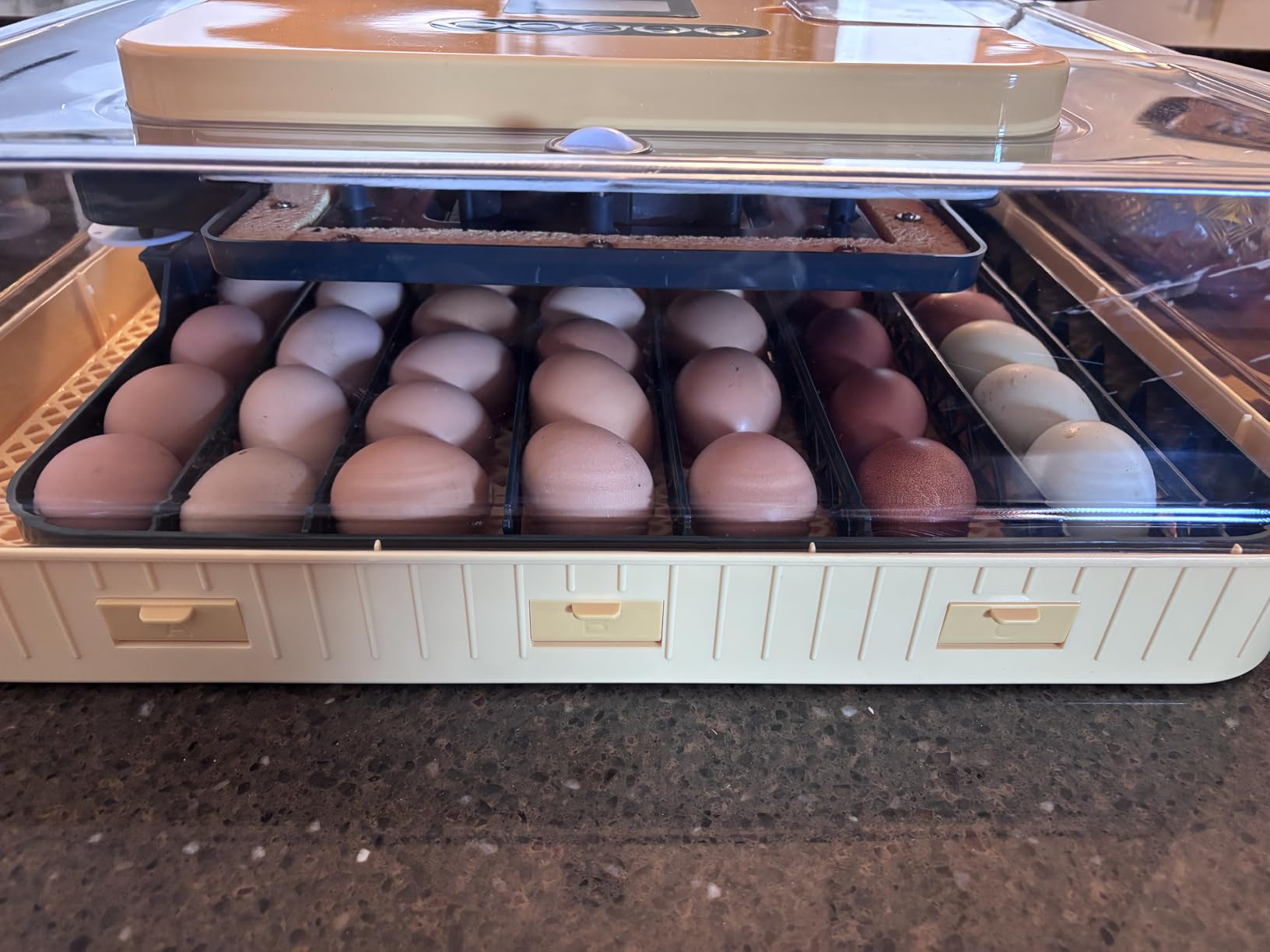 Incubators for Hatching Eggs, 56 Eggs Incubator with Egg Candler, Auto Egg Turner, Temp & Humidity Control, Hatch Day, 360° Viewing for Chicken, Duck, Quail Eggs, Ideal for Farm, School and Lab customer photo 2