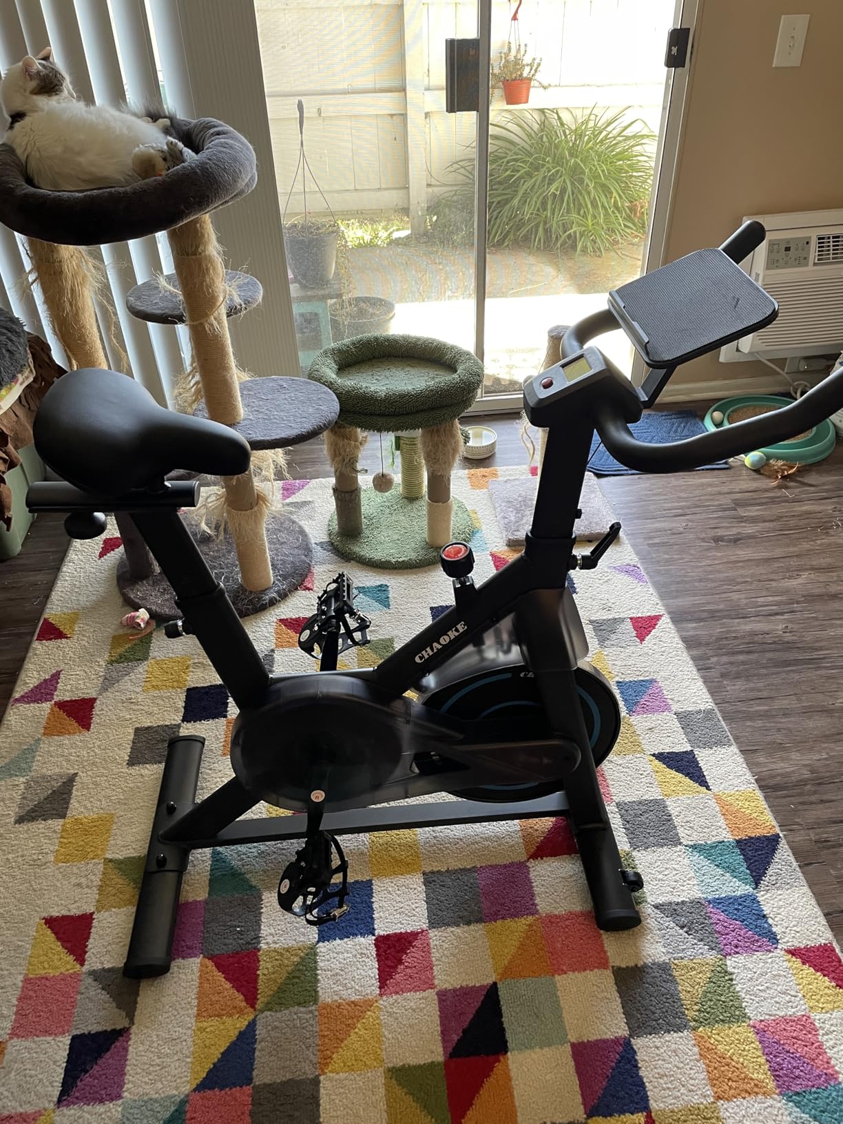 CHAOKE Quiet Adjustable Magnetic Resistance Stationary Bike for Home Cardio customer photo 1