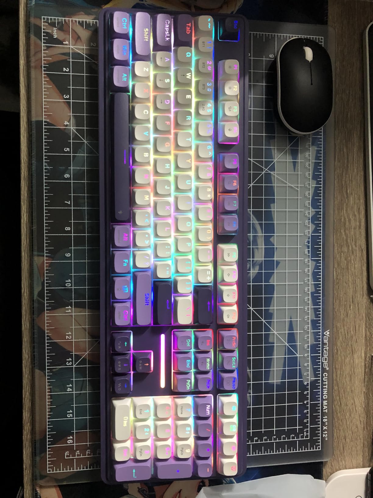 Redragon K745 PRO Wireless Gasket RGB Gaming Keyboard, 108 Keys Mechanical Keyboard w/Extra 4 Hotkeys, Hot-Swap Socket, 5-Layer Noise Dampening, See-Through Round PBT Keycaps, Mint Mambo Switch customer photo 1