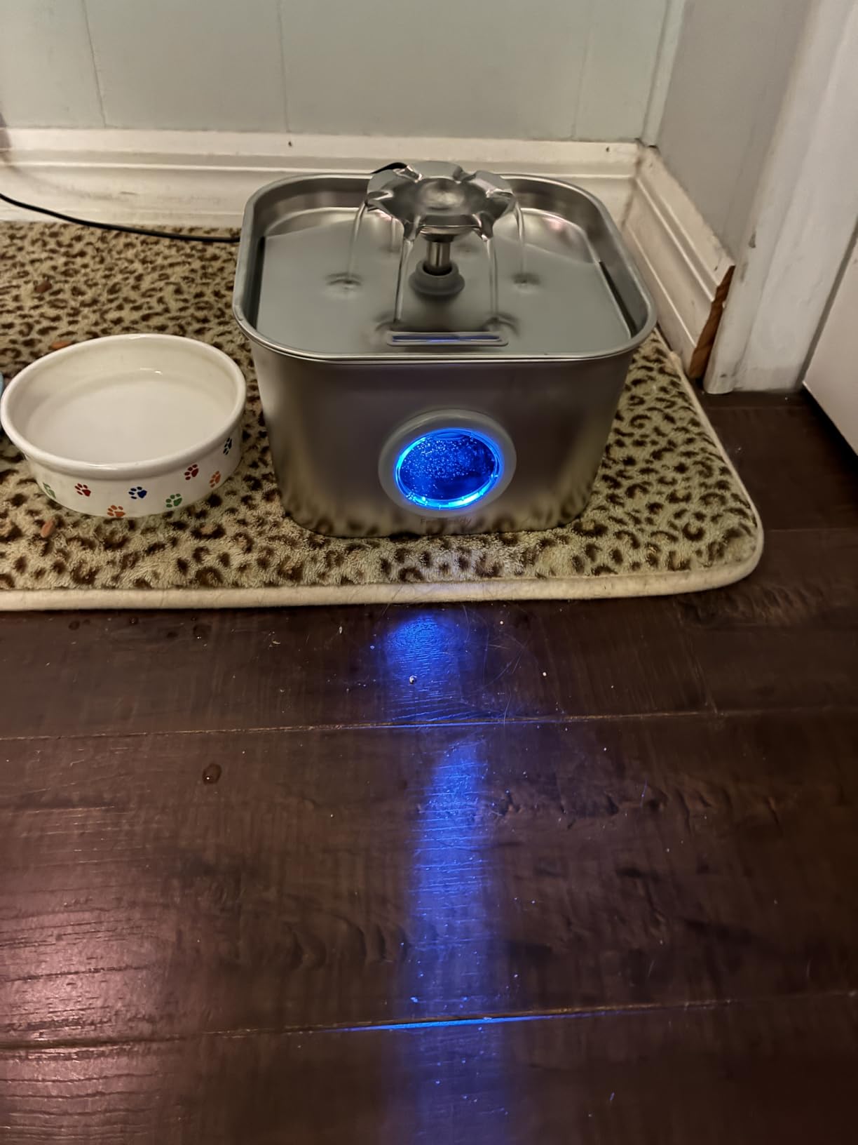 Stainless Steel Cat Water Fountain, 2.8L with 20dB Ultra-Quiet Pump- Ideal for Timid Pets, LED Water Level Window, Dishwasher Safe, 24/7 Circulation- Includes 3 Replacement Filters customer photo 1