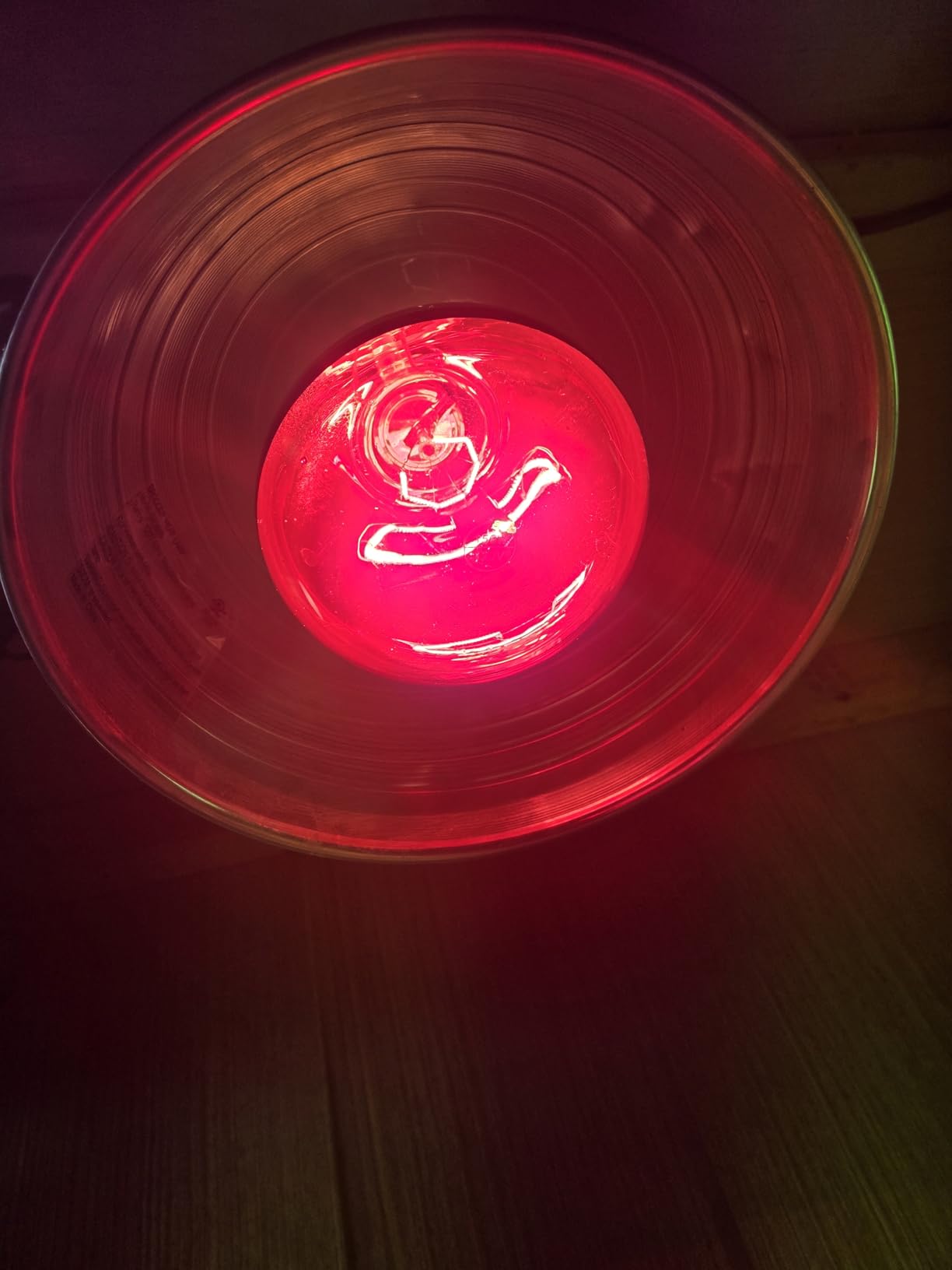 250W Infrared Heat Lamp for Chicken, Red Heat Light Bulb R125 2 Pack, Heat Lamp Bulb for Chick Croop, Reptiles, Pets, Food customer photo 1